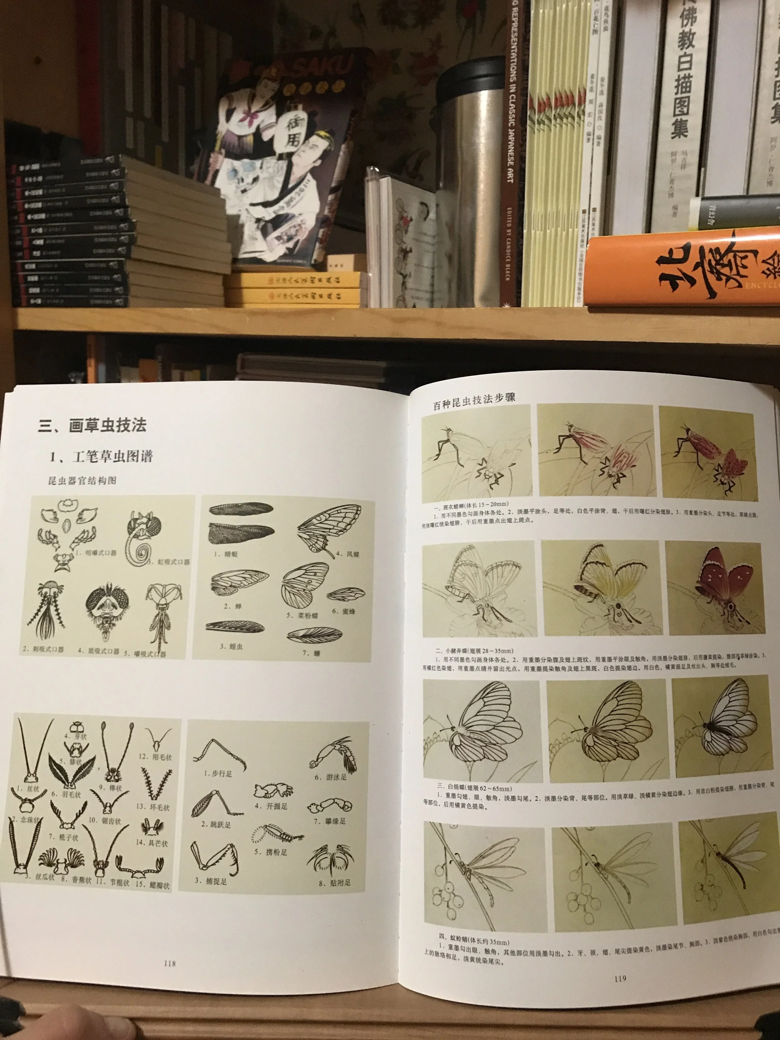 5326A762-0E45-47C0-A840-F5D2B300A842