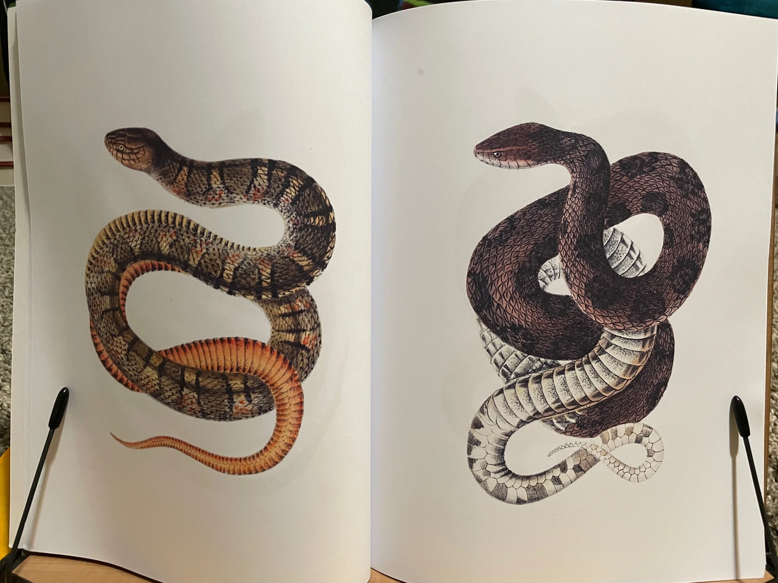 F5DECFD9-C976-477F-A2AE-BAD2E6A34F63