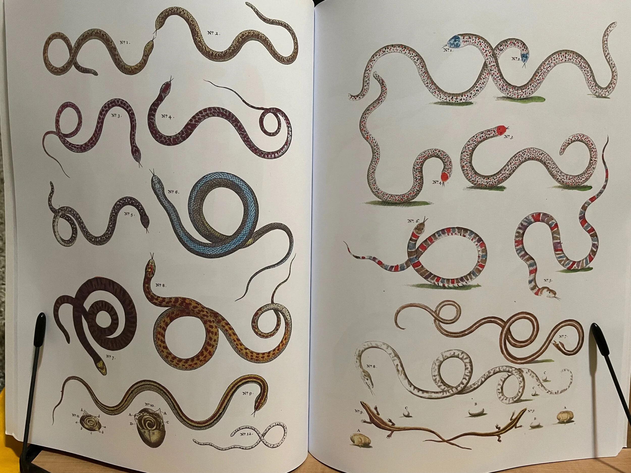 4921B854-F823-4192-BFC7-2473BAD6F372