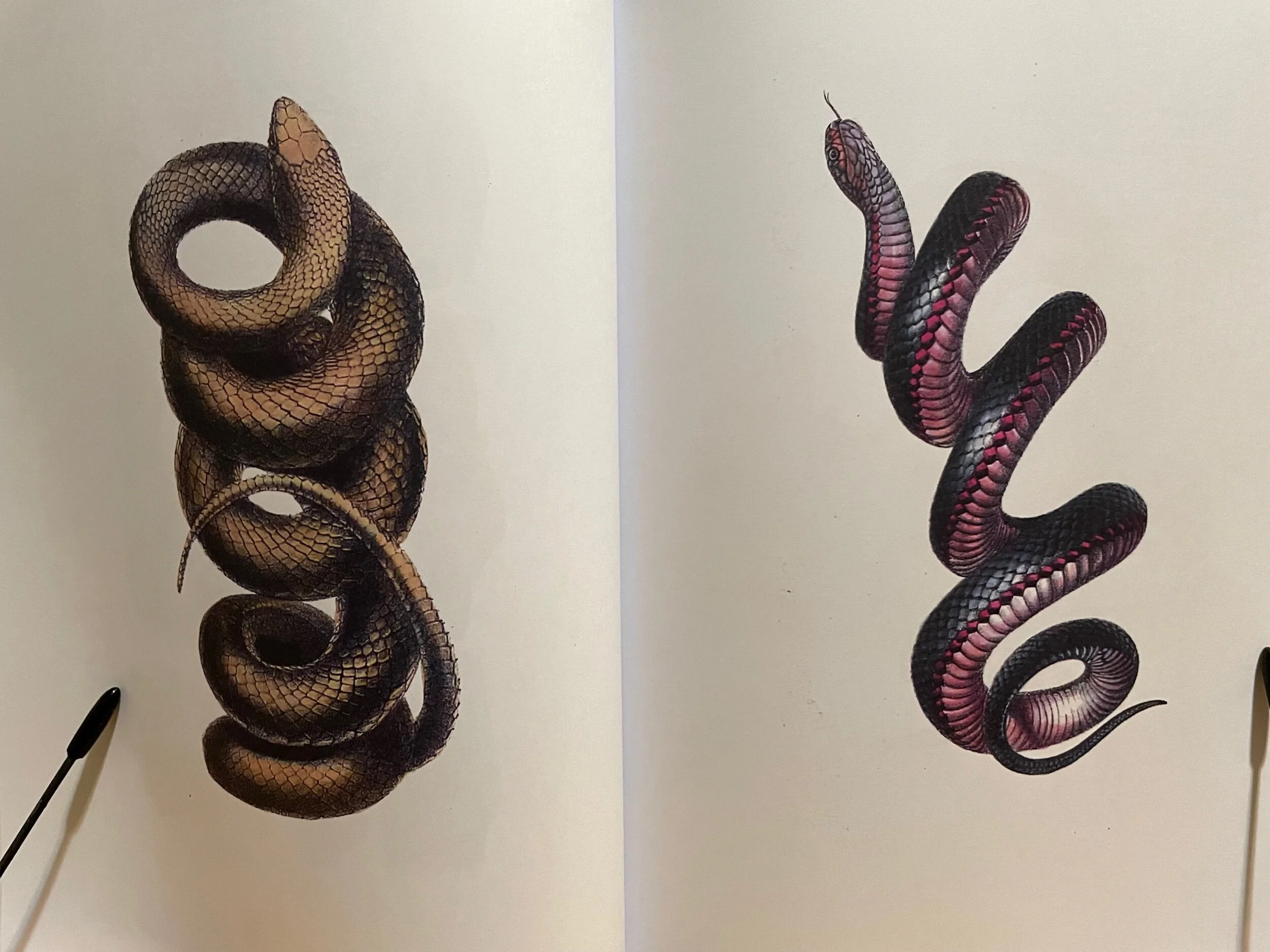 EB9080A0-A27F-4E98-80ED-0E33482C53D3