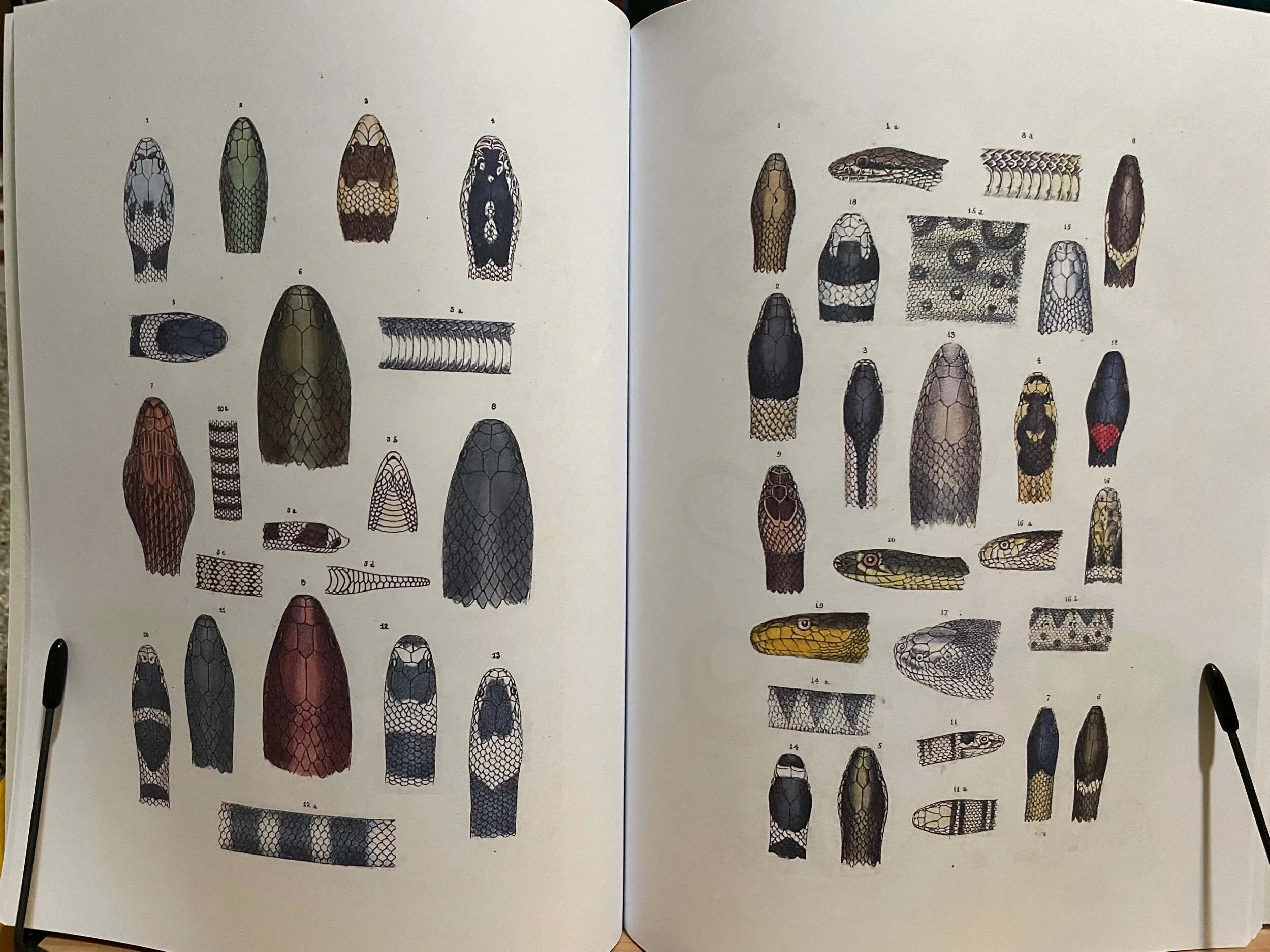 740428E8-5249-4CD7-961D-623F98942B28