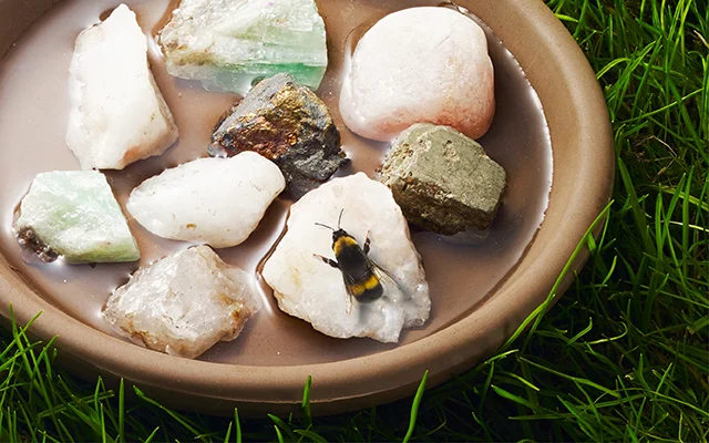 How-to-Make-a-Bee-Bath.jpg
