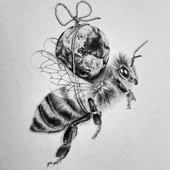 Photo by New York Bee Sanctuary