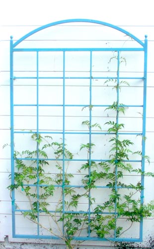 garden-wall-trellise.jpg