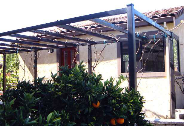 grapevine-arbor-trellise-2.jpg