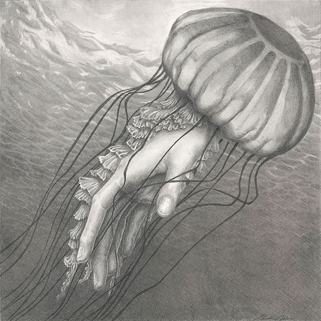 &ldquo;Tentaculara II&rdquo; graphite on panel. showing at Offroad Productions Jan 20 6-8. 2891-B Trades West Road, Santa Fe. Open by appointment Jan 22-27.