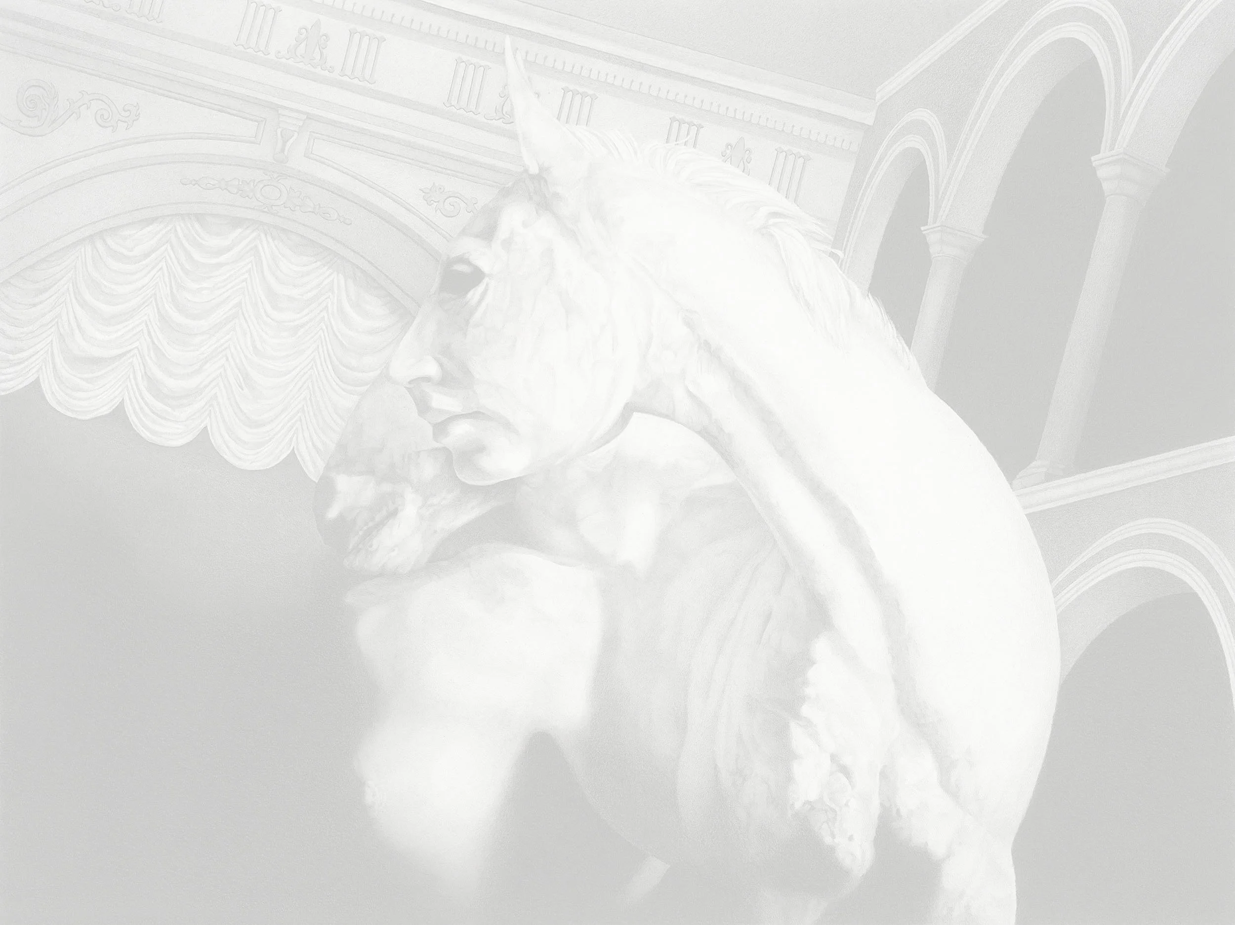 illusions/illuminations