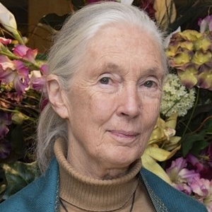 Dr. Jane Goodall, Founder, The Jane Goodall Institute