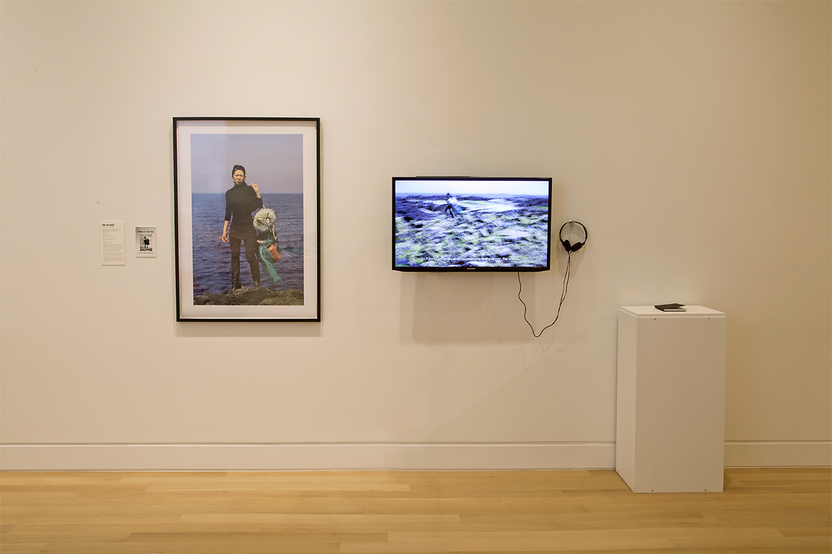 Installation view: War Baby / Love Child, DePaul Art Museum, Chicago, 2013