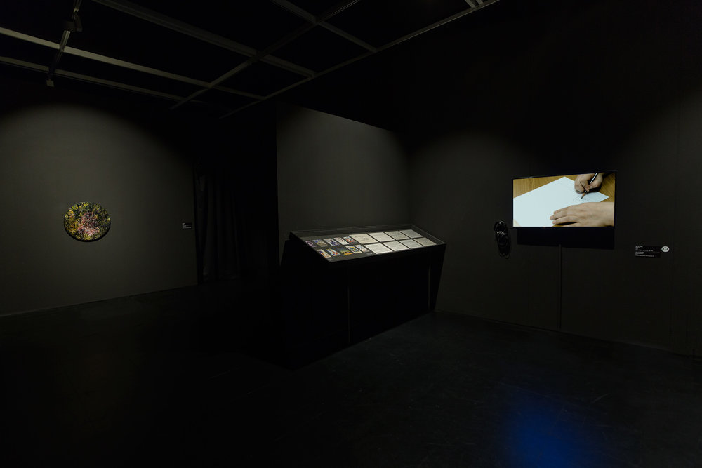 Installation view: Buk Seoul Museum of Art, Asian Diva: The Muse and the Monster, Korea. Photo credit: Byunghun Min/Halo Studio.