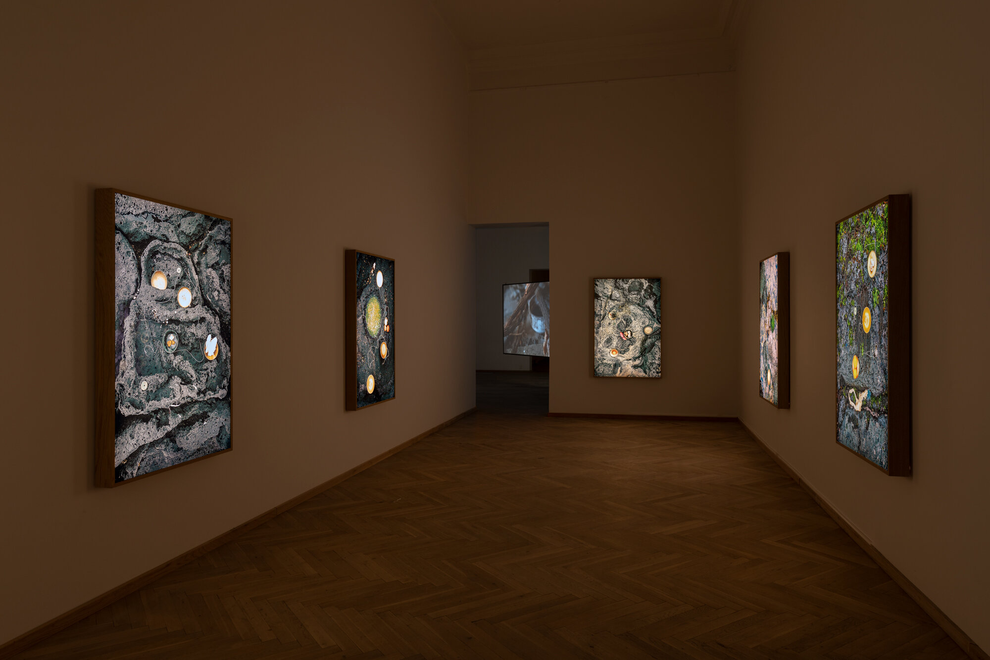  Installation view: Kunsthal Charlottenborg. Photos: David Stjernholm 