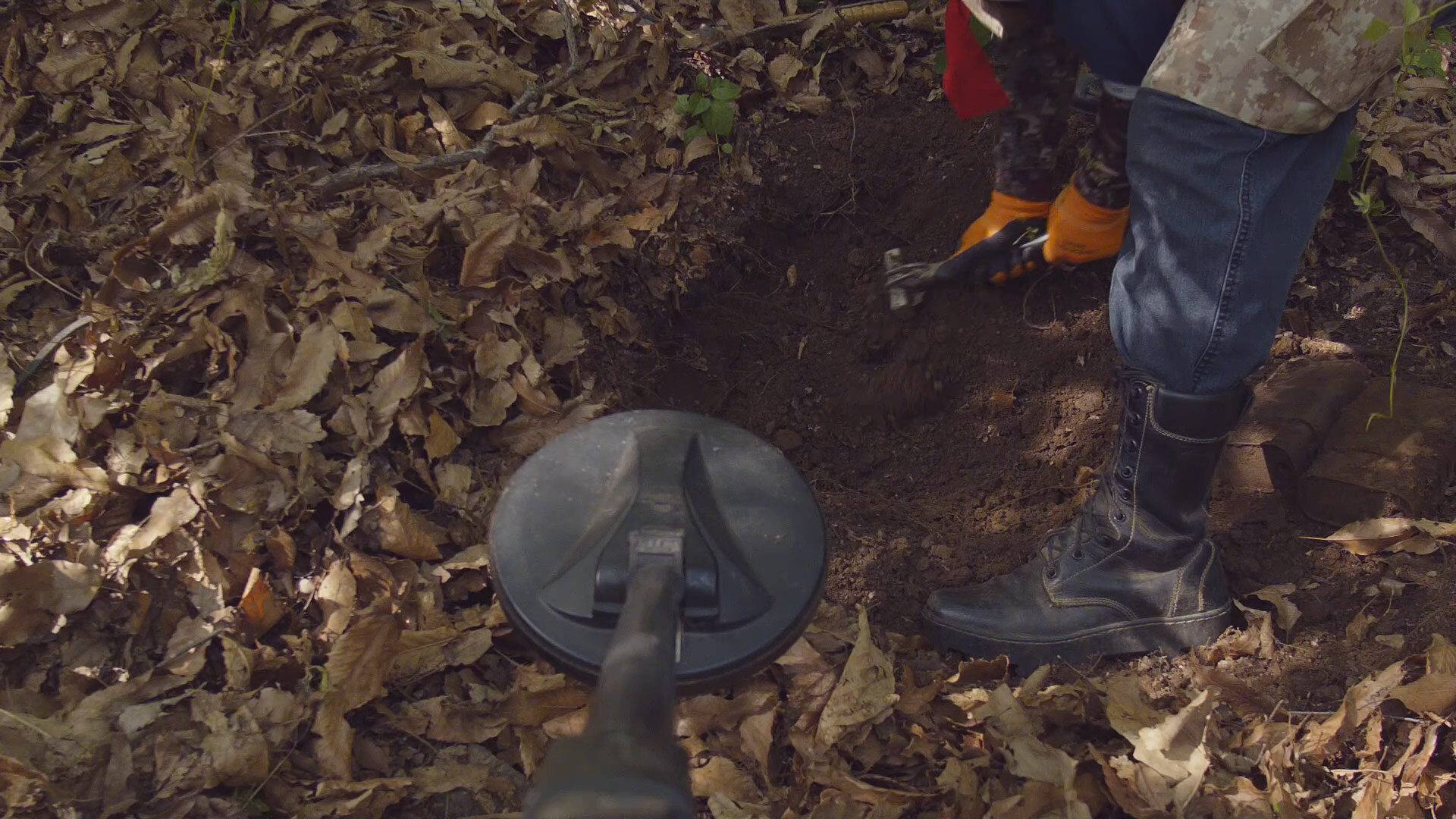 Sweeping-the-forest-floor_1.1.18.jpg