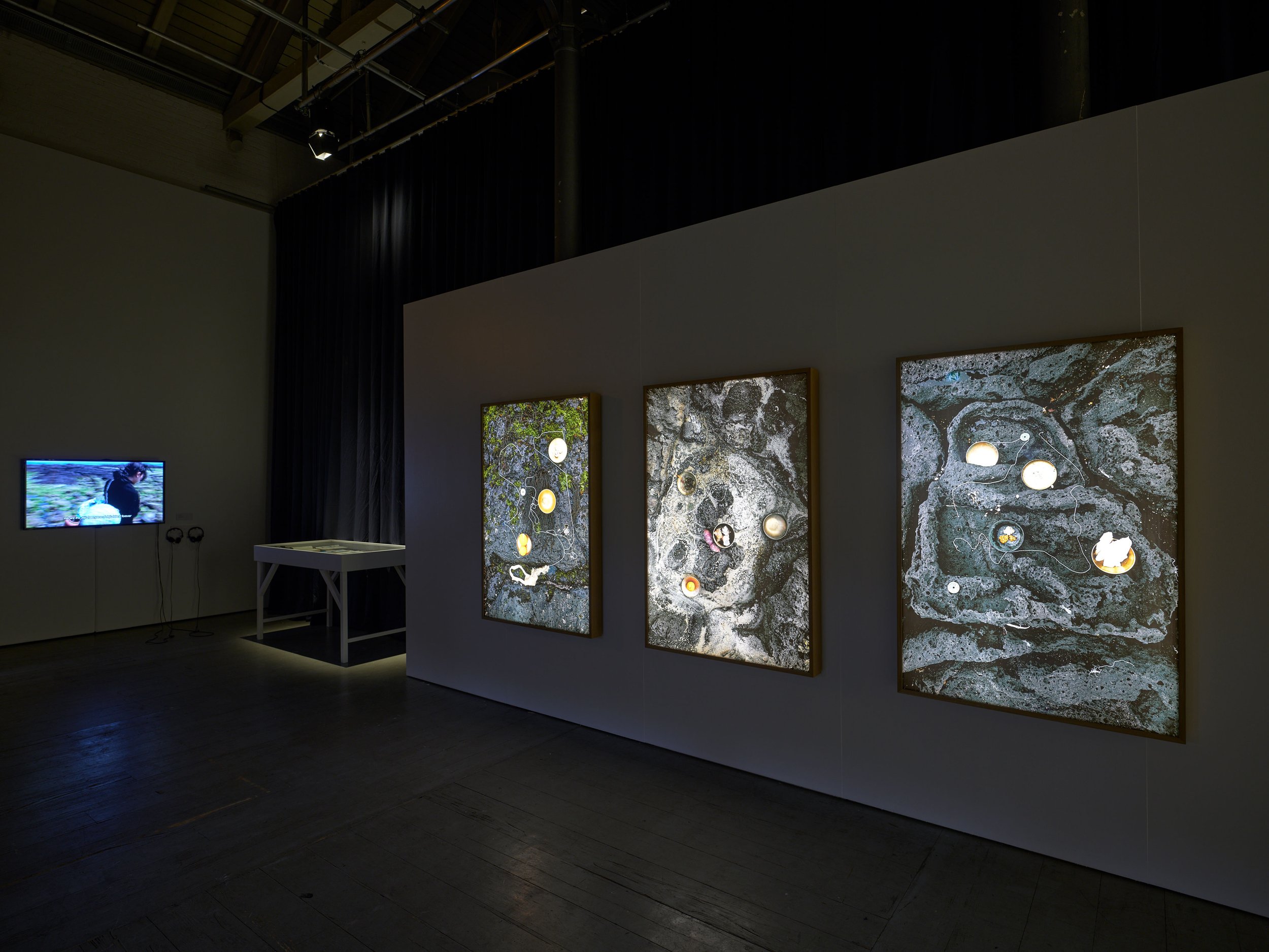  Exhibition view: Fotografisk Center. Photo: Incisions 