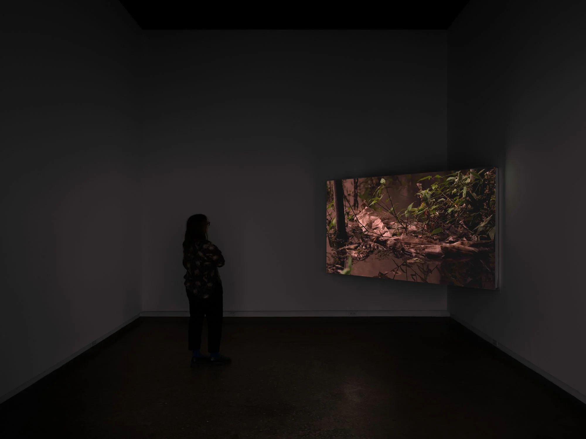 Sorrow Waters This Land, 2024. Gallery TPW. Photo: Darren Rigo