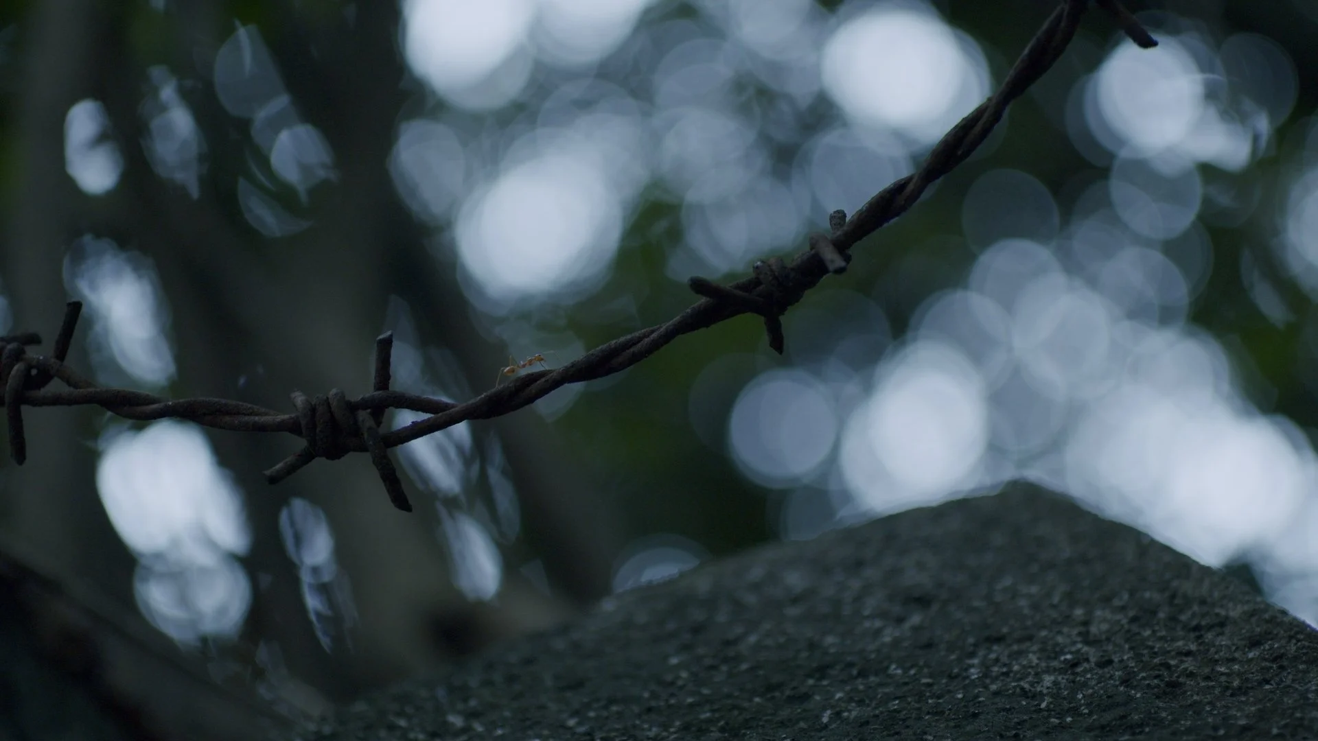 Still 2026-04-23 180150_1.37.2.jpg