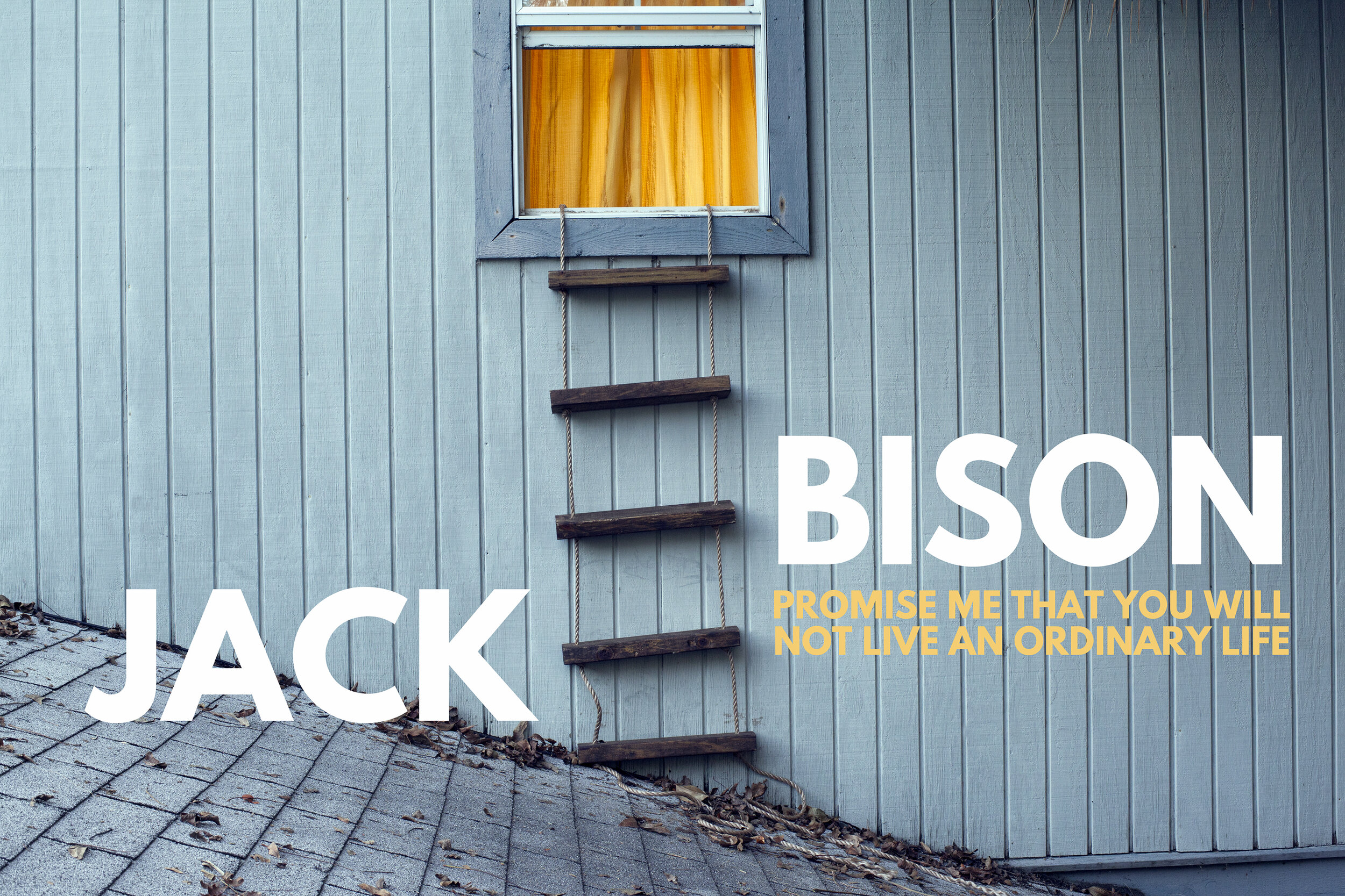 BISON window ladder 21 final.jpg