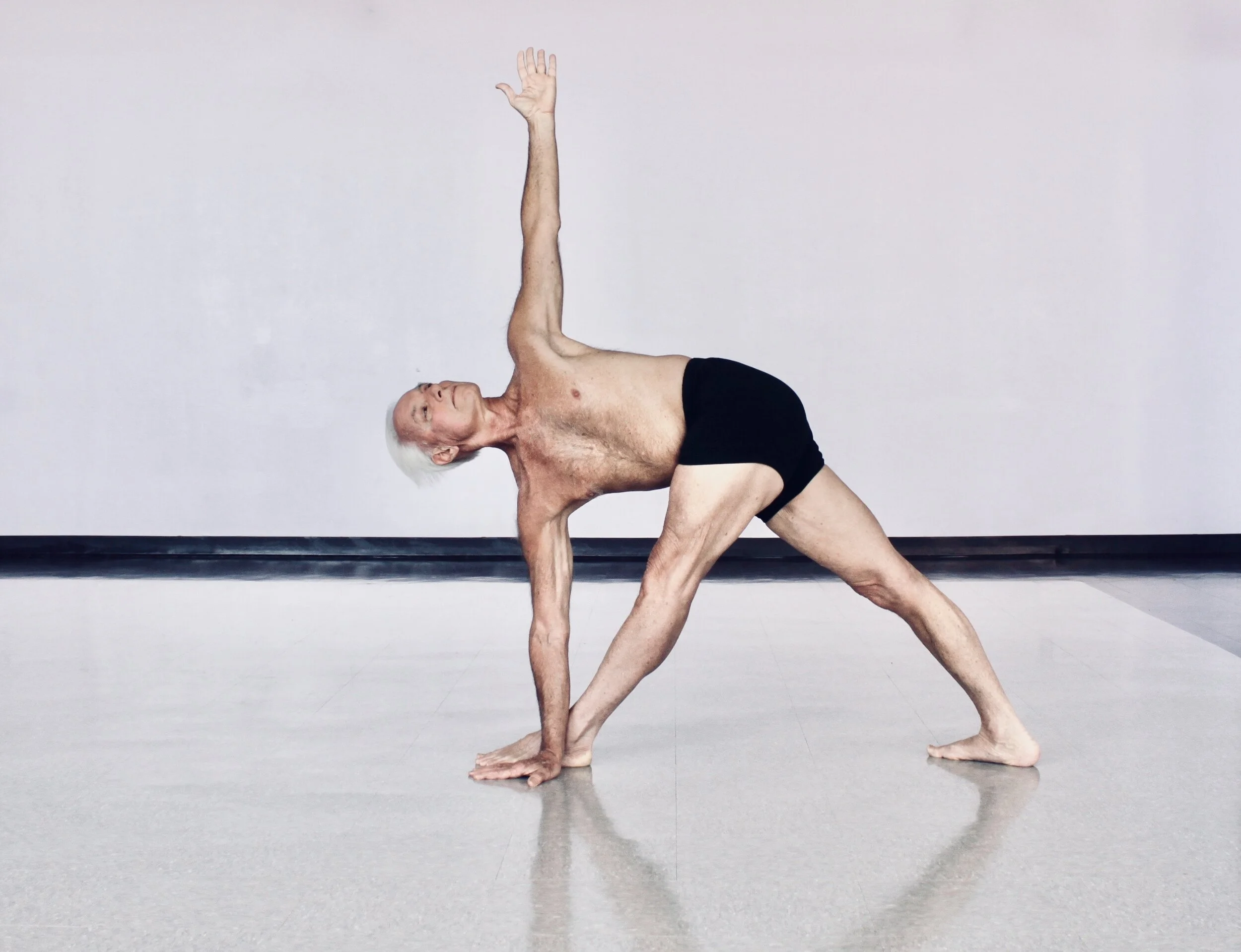 John Schumacher Yoga Parivrtta Trikonasana.jpeg