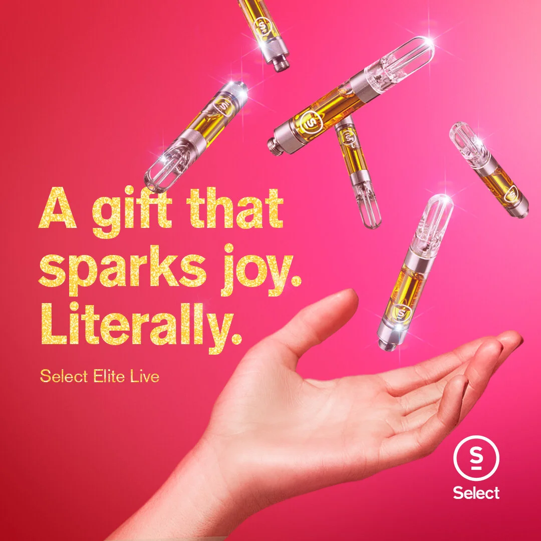  photog // Toby Pederson 