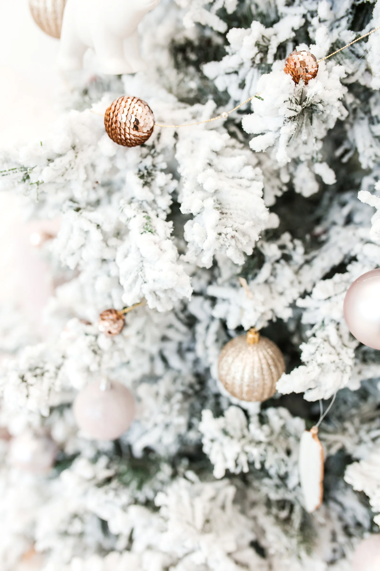 holiday-tree-sap.jpg