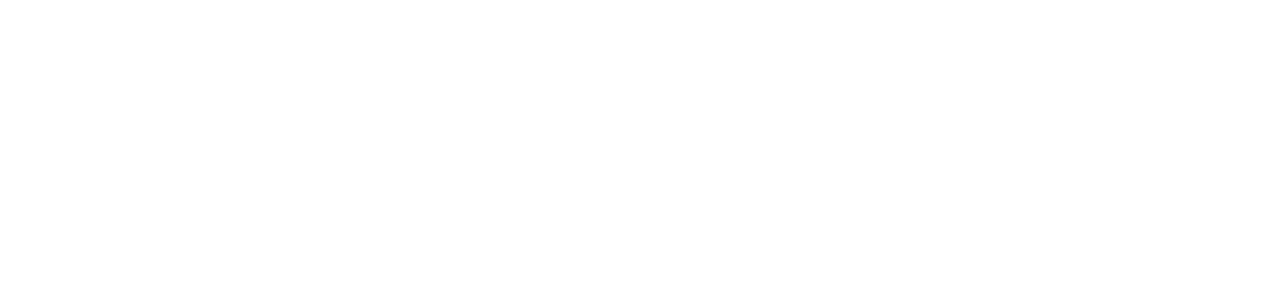 Zen Logo White.png