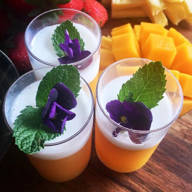 Fresh Mango &amp; Coconut Jelly cylinders . . . 
Dairy Free, Gluten Free, Vegan. . .
We have been loving making these little beauties in our Vietnamese Lunchbox over the Summer! 😊