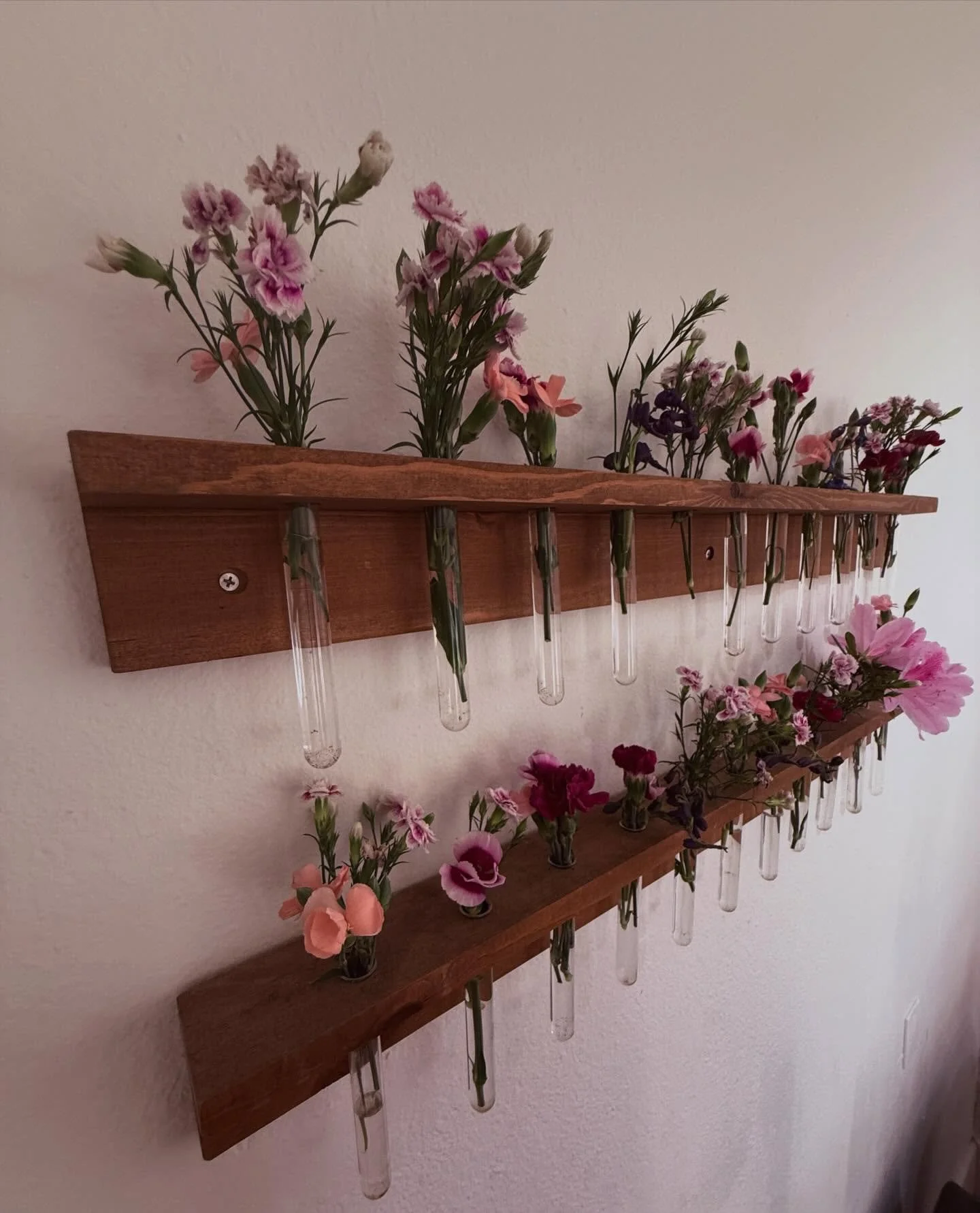 Spring has sprung babyyyyy 🌺 

@traderjoes flowers are the cure to depression