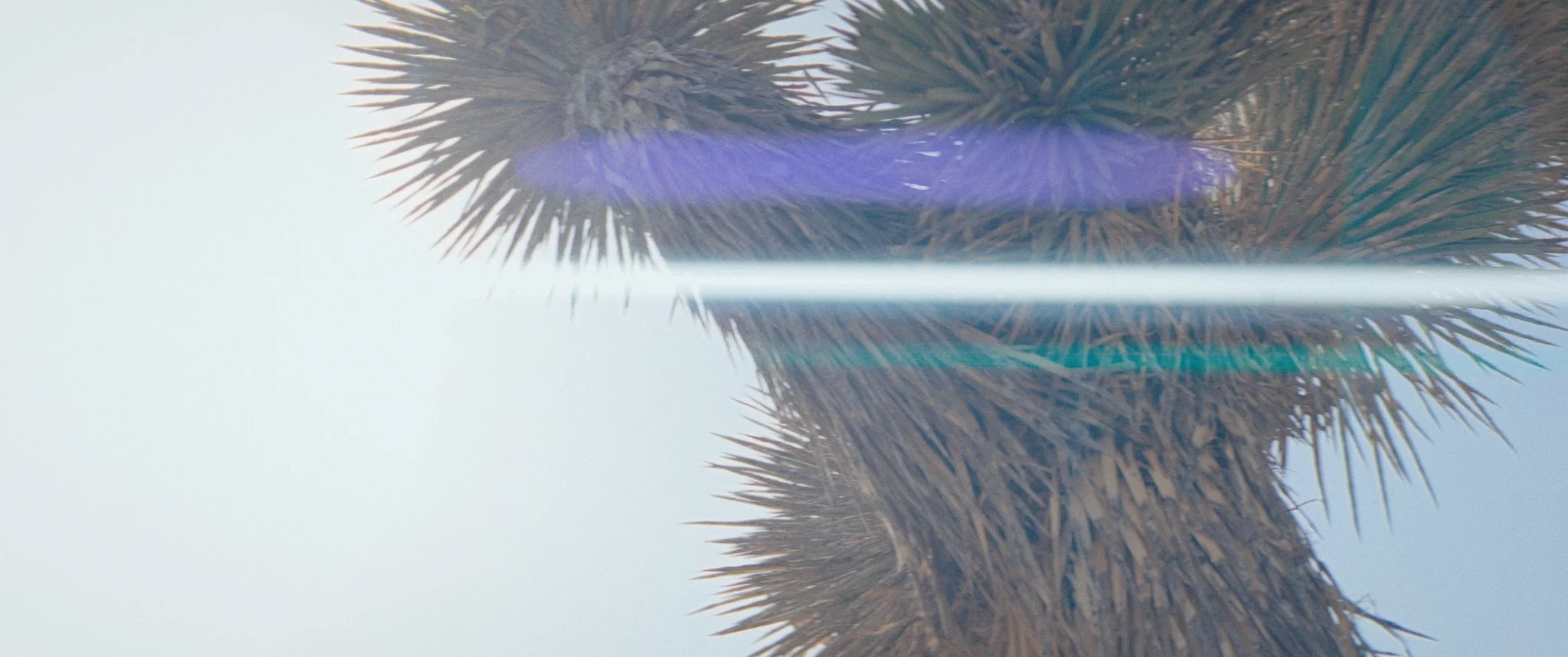 Still 2026-04-25 161627_1.126.1.jpg