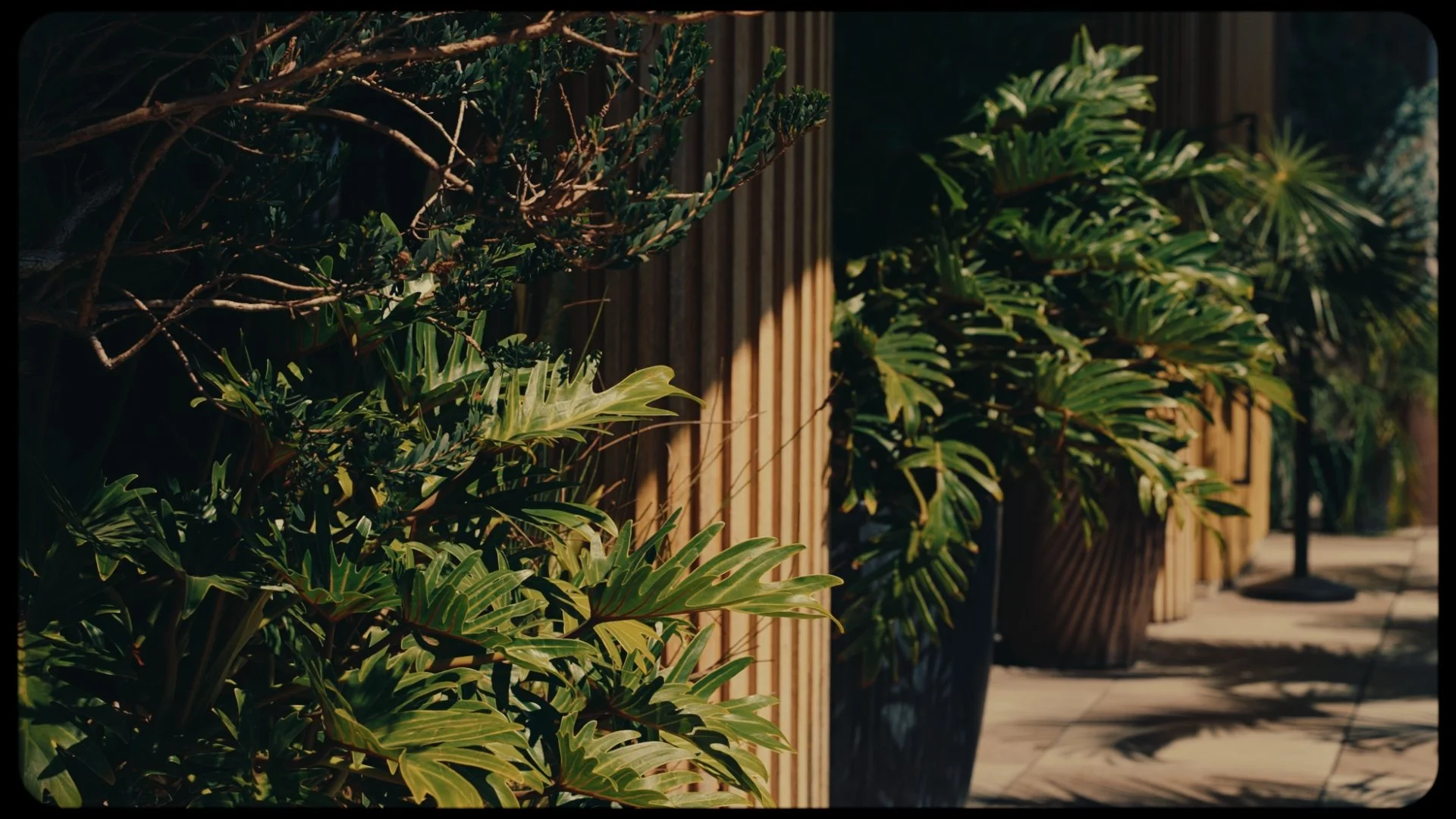 Still 2026-04-26 135916_2.2.2.jpg