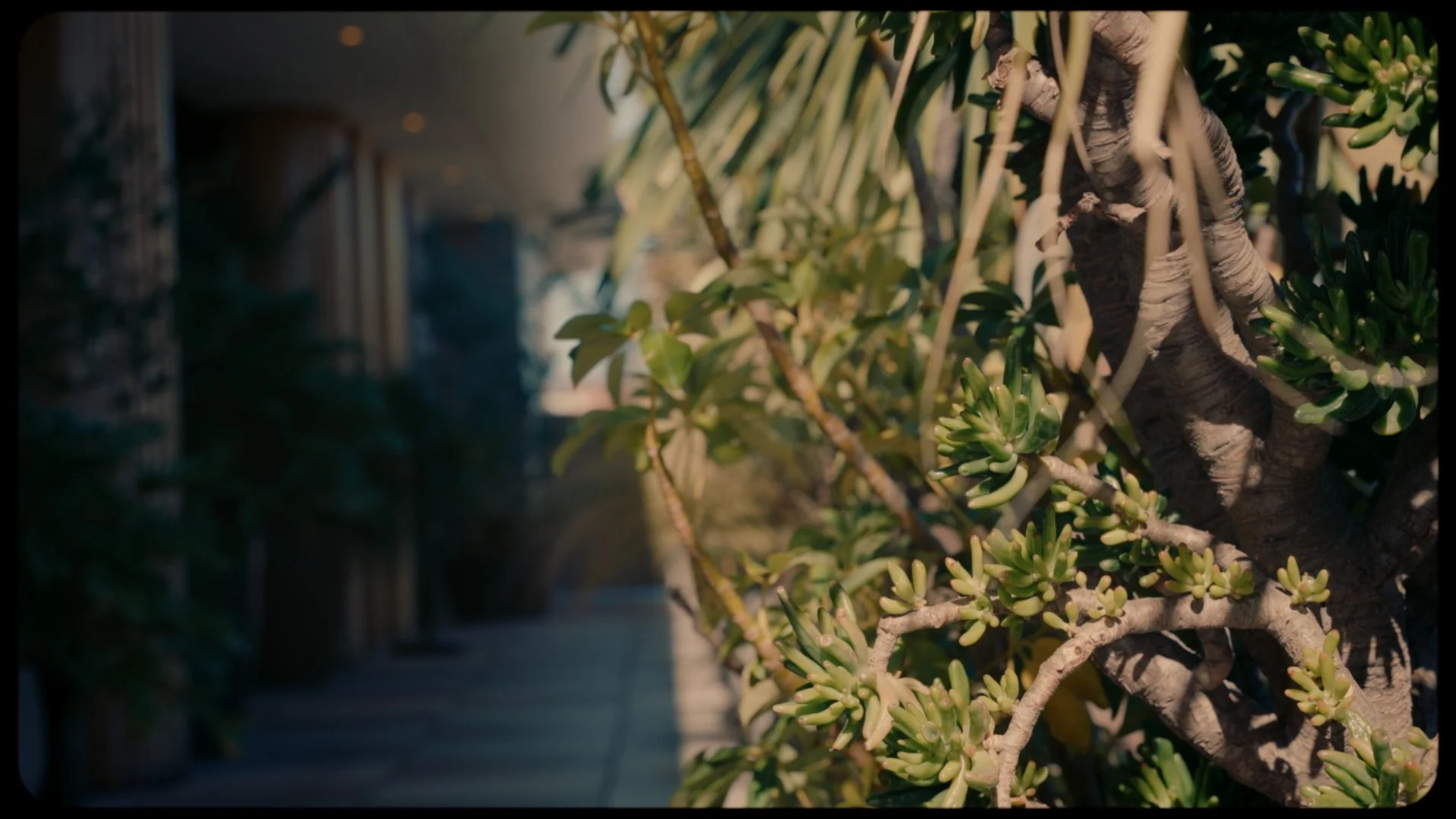 Still 2026-04-26 135916_2.2.4.jpg