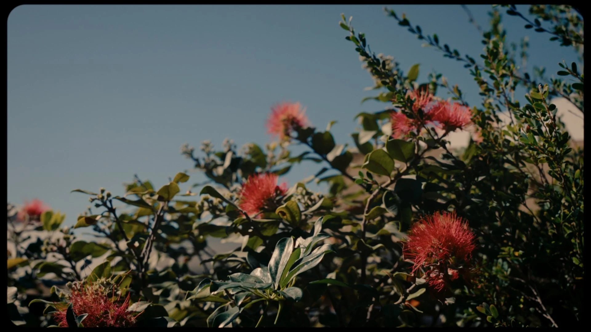 Still 2026-04-26 135916_2.2.6.jpg