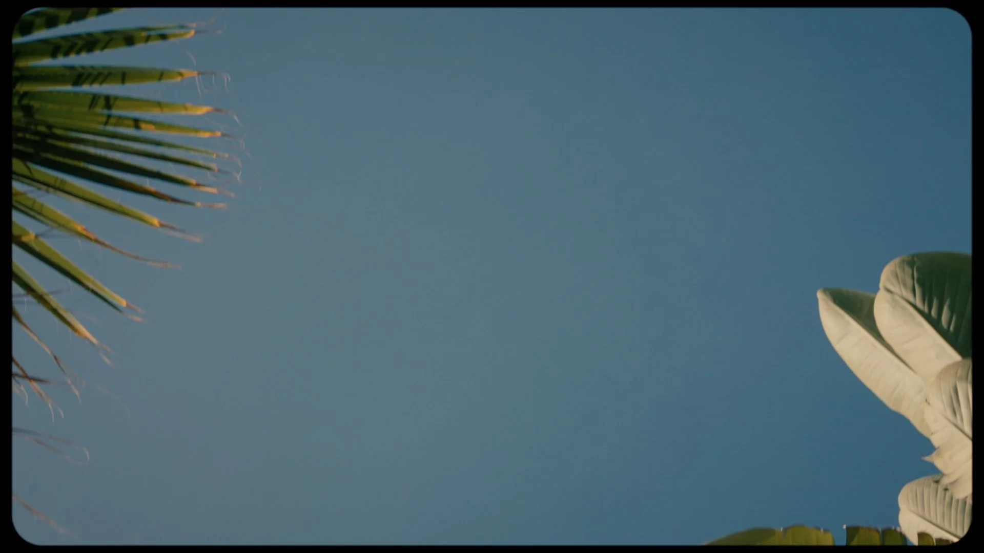 Still 2026-04-26 135916_2.2.7.jpg