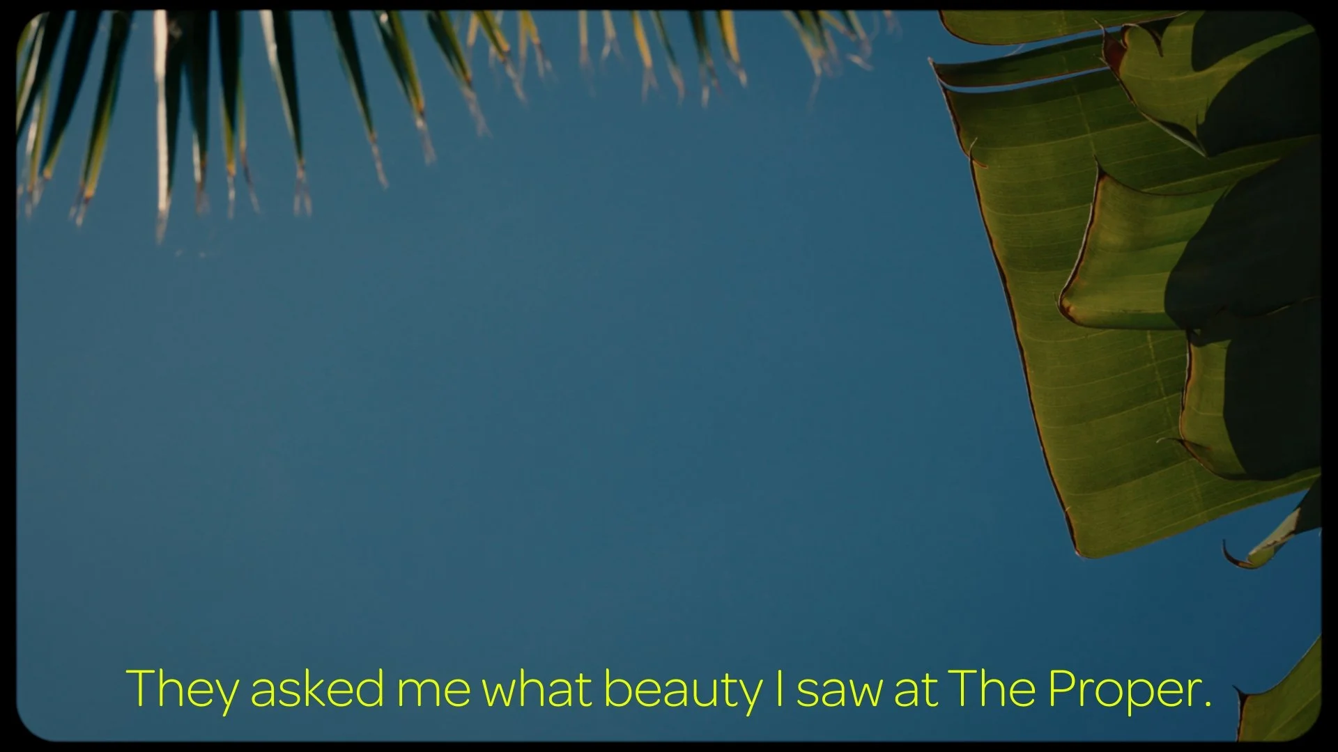 Still 2026-04-26 135916_4.1.1.jpg