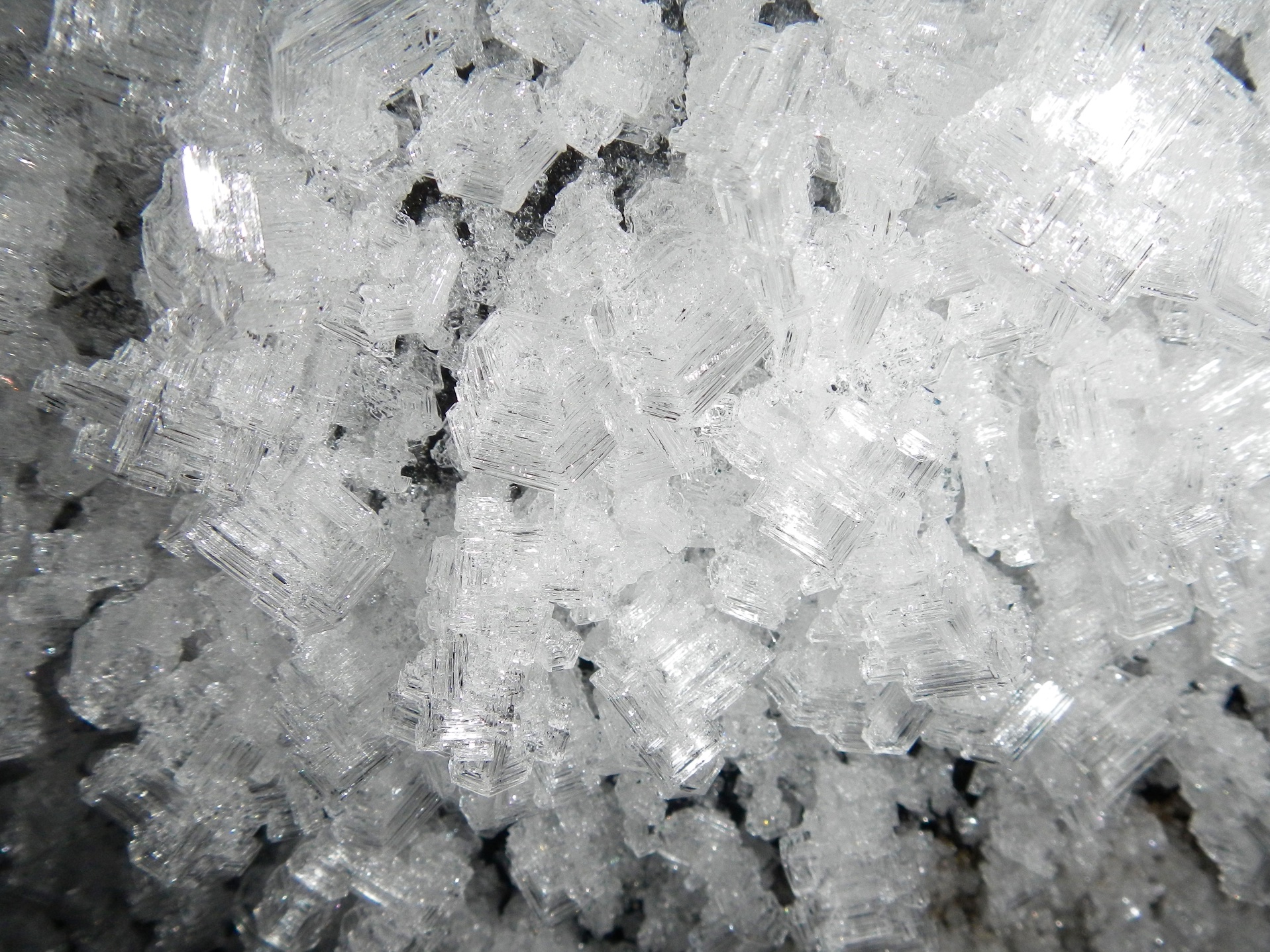  Ice crystals inside Ice House, Tuktoyaktuk, North West Territories, Canada 