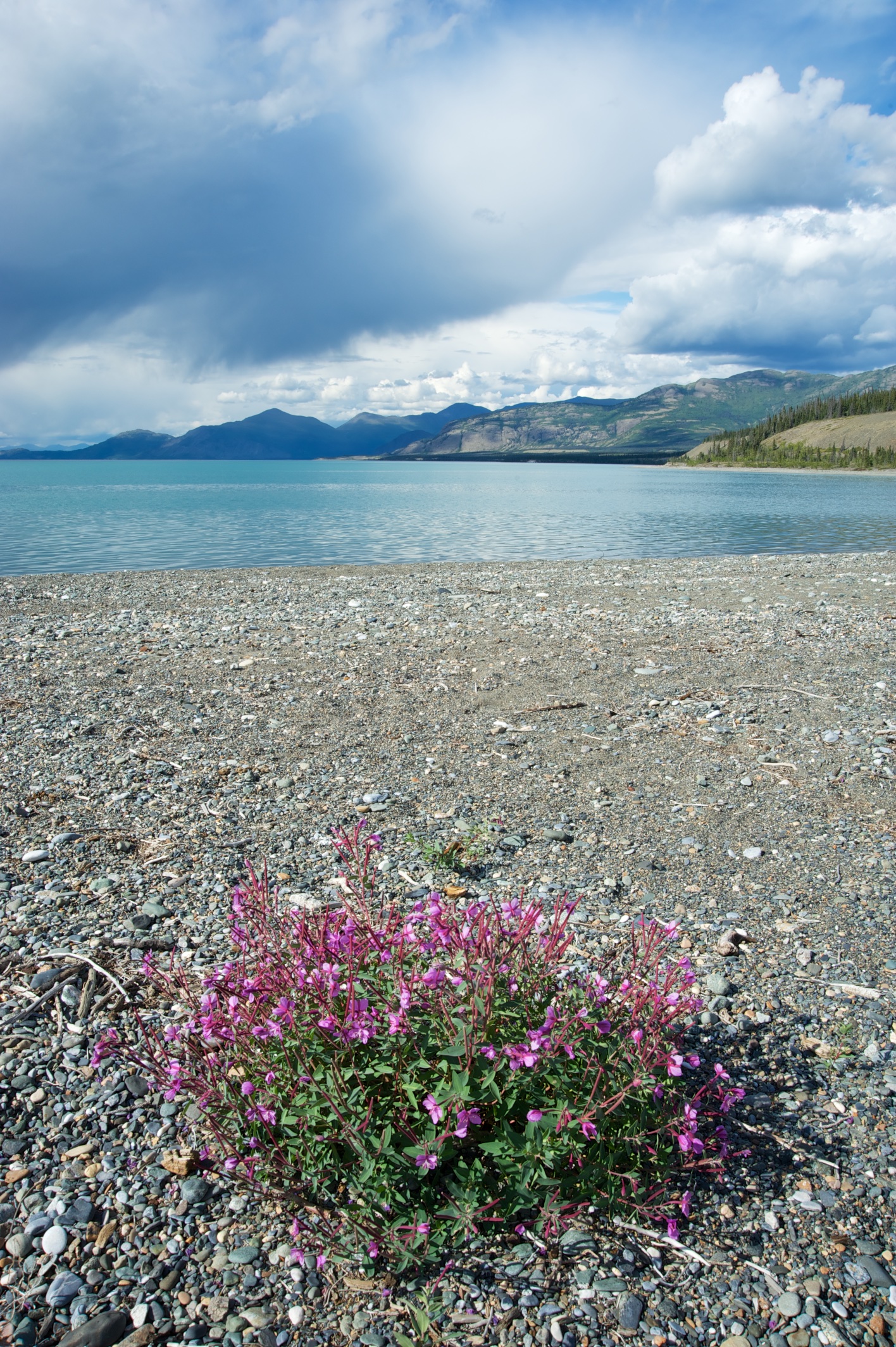  View across Kluane Lake #2, Yukon, Canada 