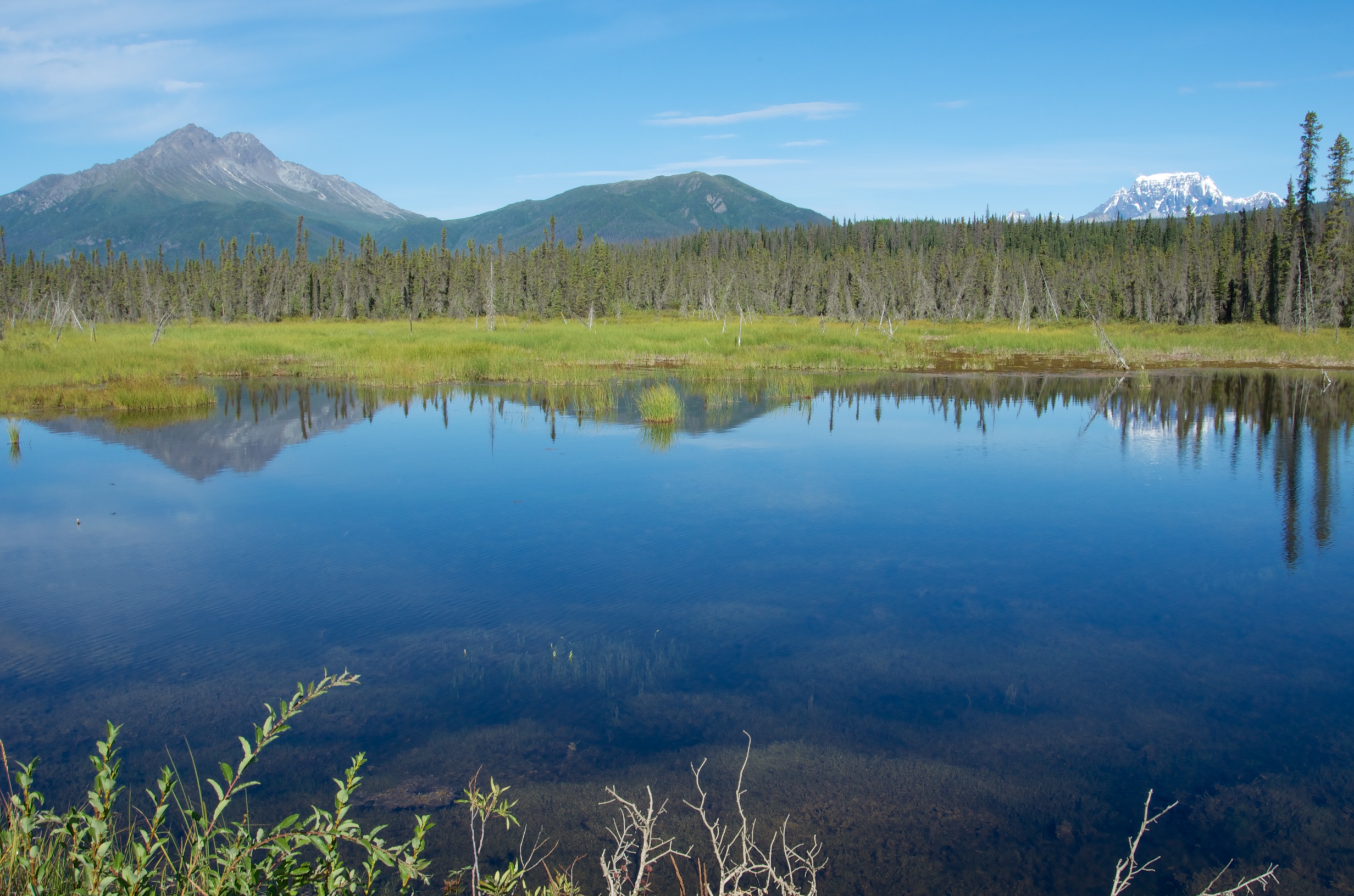  Reflections on lake, Wrangell St Elias NP, Alaska 