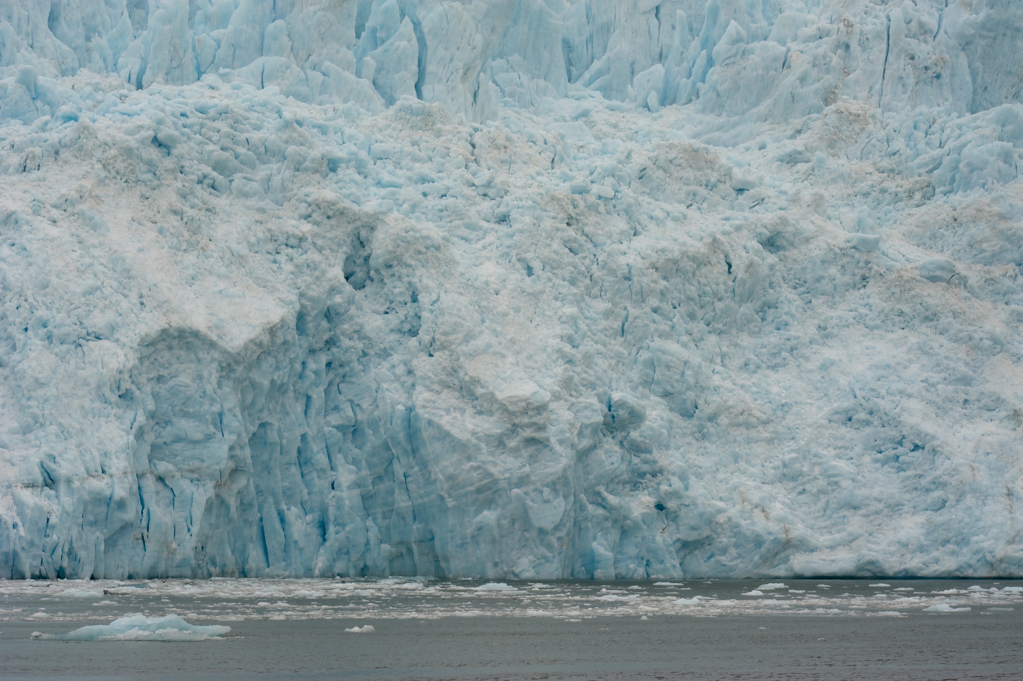  Aialik glacier, Resurrection Bay, Alaska 