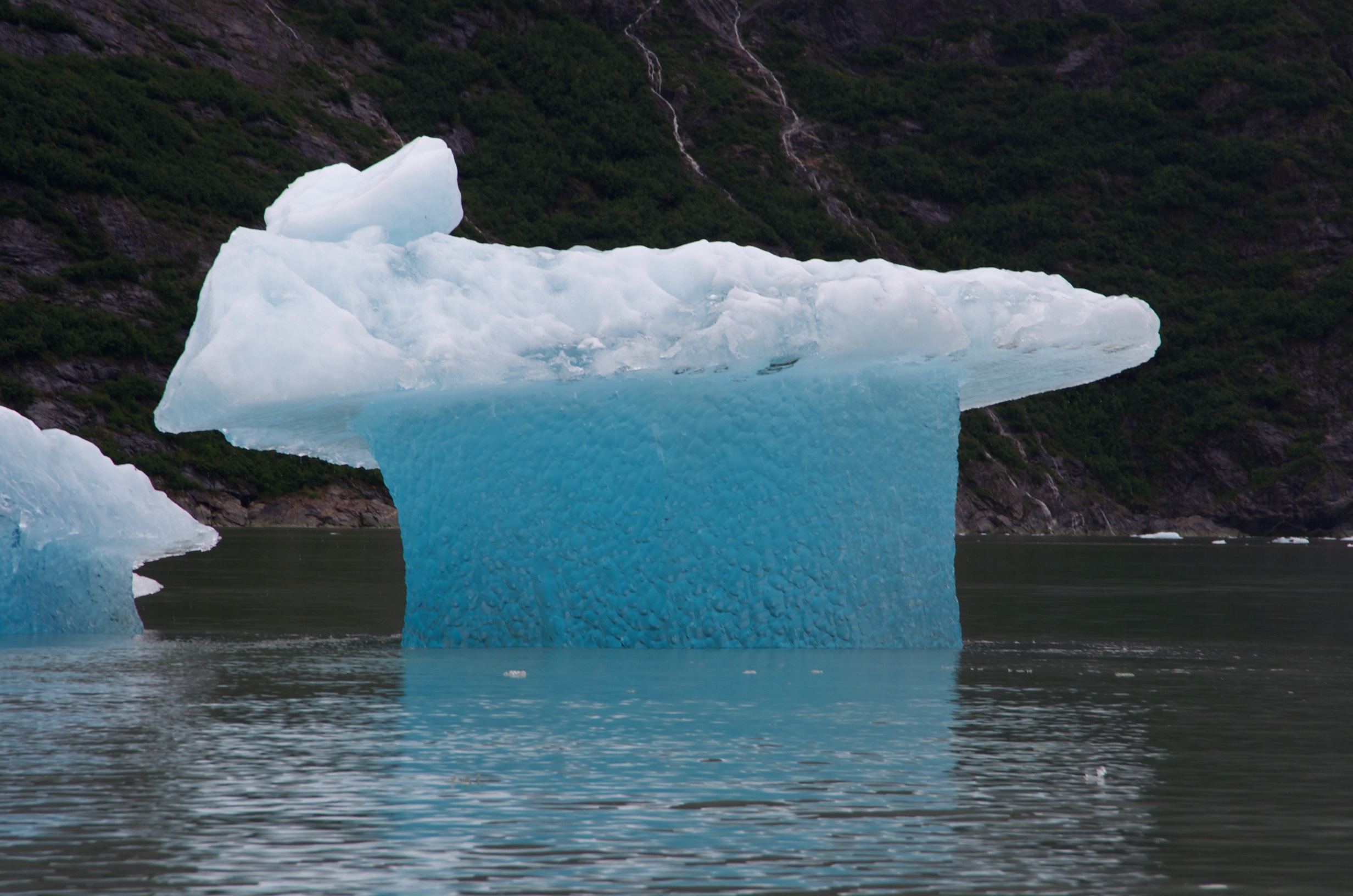  Iceberg, Tracy Arm, Alaska 