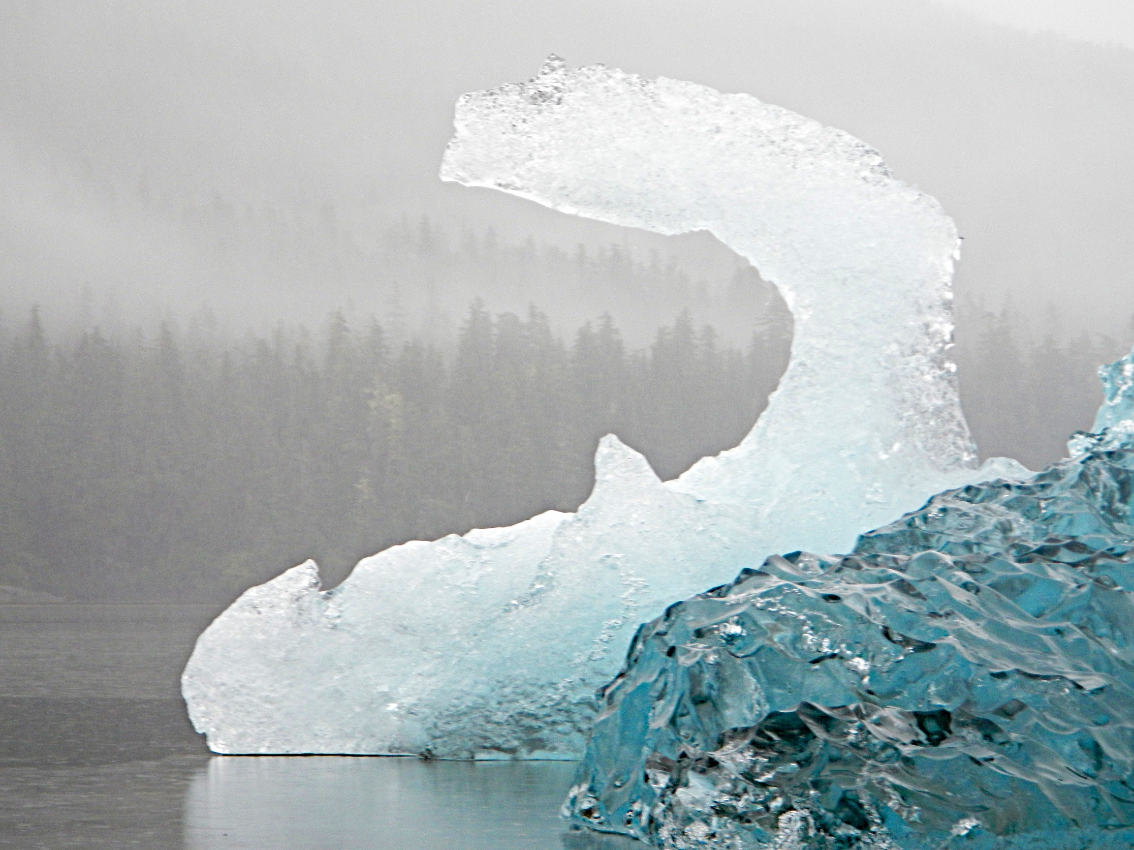  Iceberg from kayak, Williams Cove, Alaska 