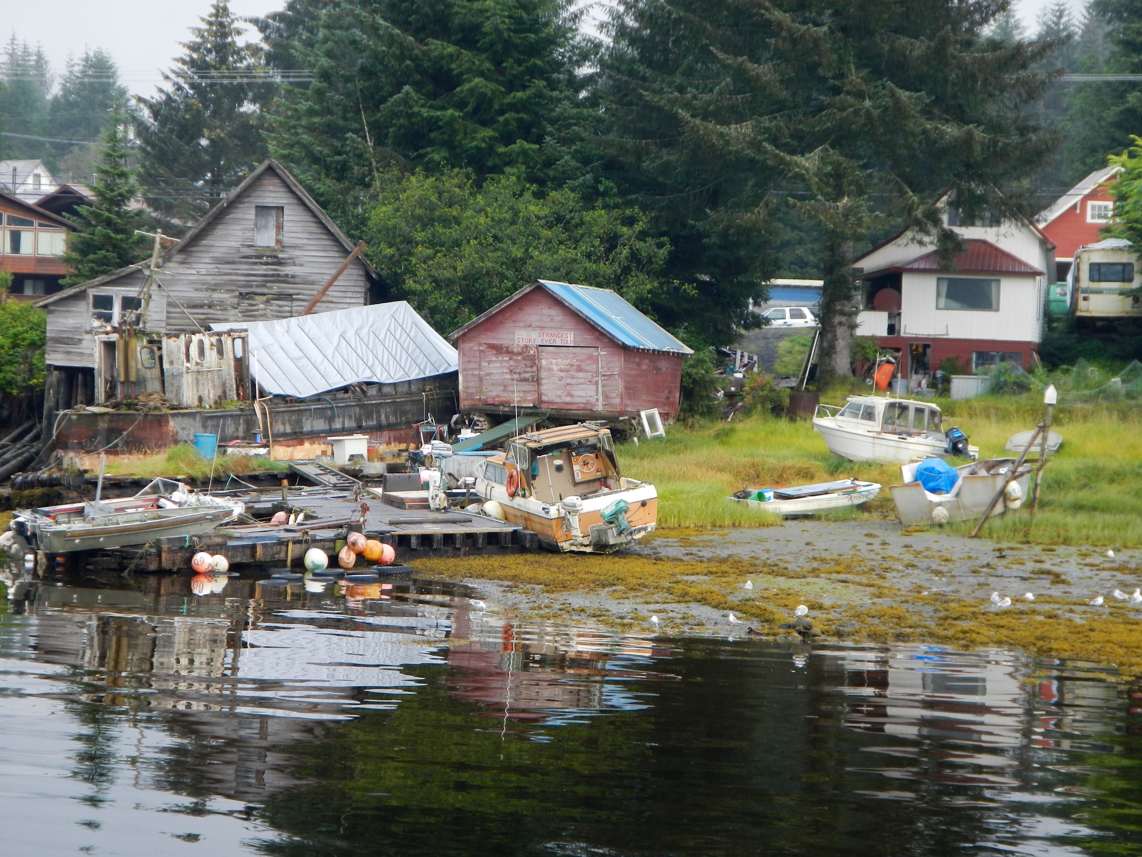  House at low tide later in the day, Petersburg, Alaska 