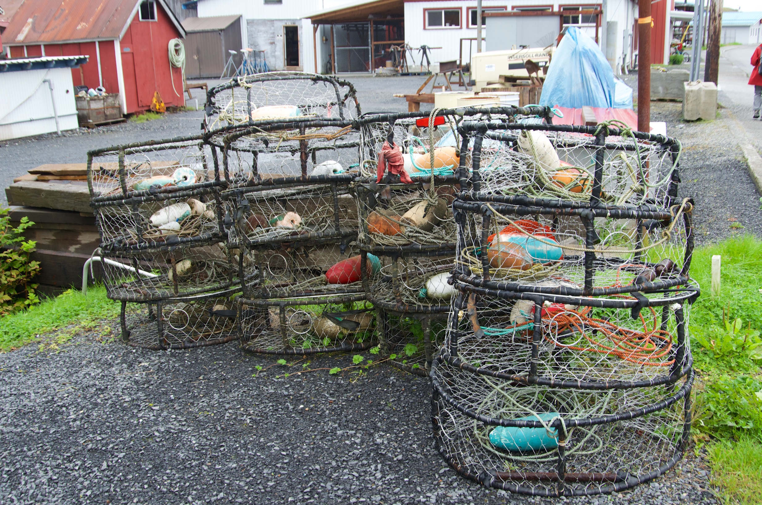  Crab pots, Petersburg, Alaska 