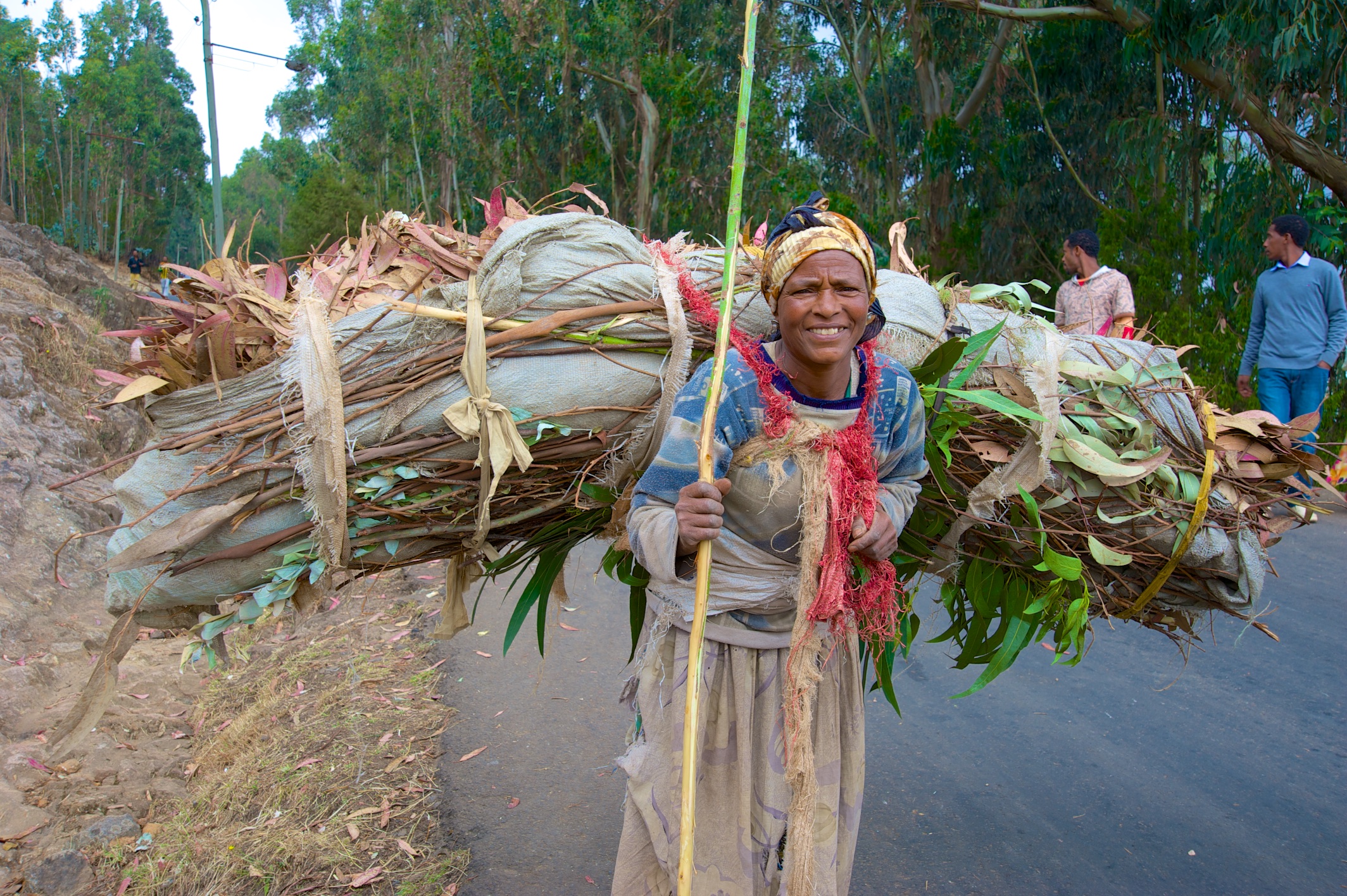  Woman carrying sticks, Mount Entoto, Addis Ababa 
