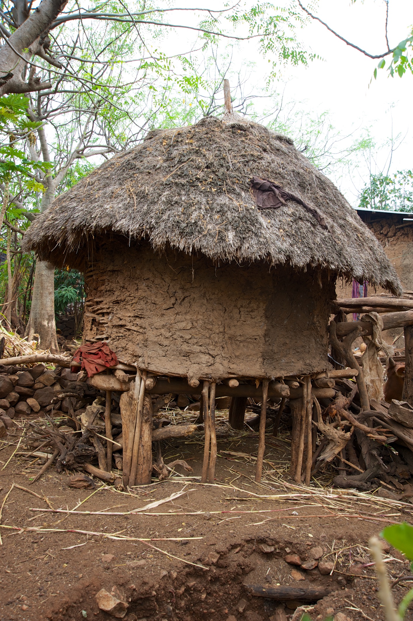  Hut, Konso people village 