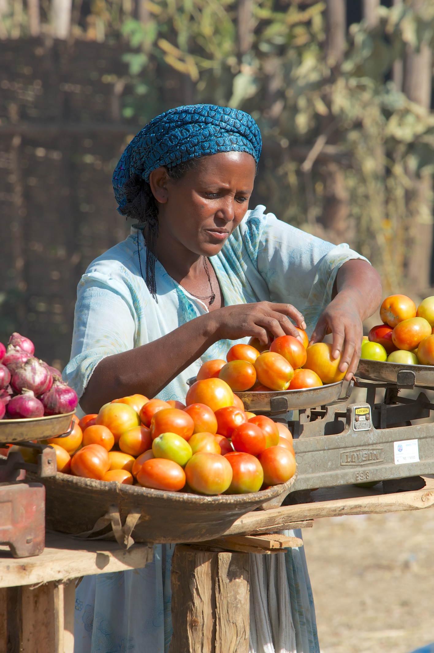  Ethiopian woman selling tomatoes, Werota 