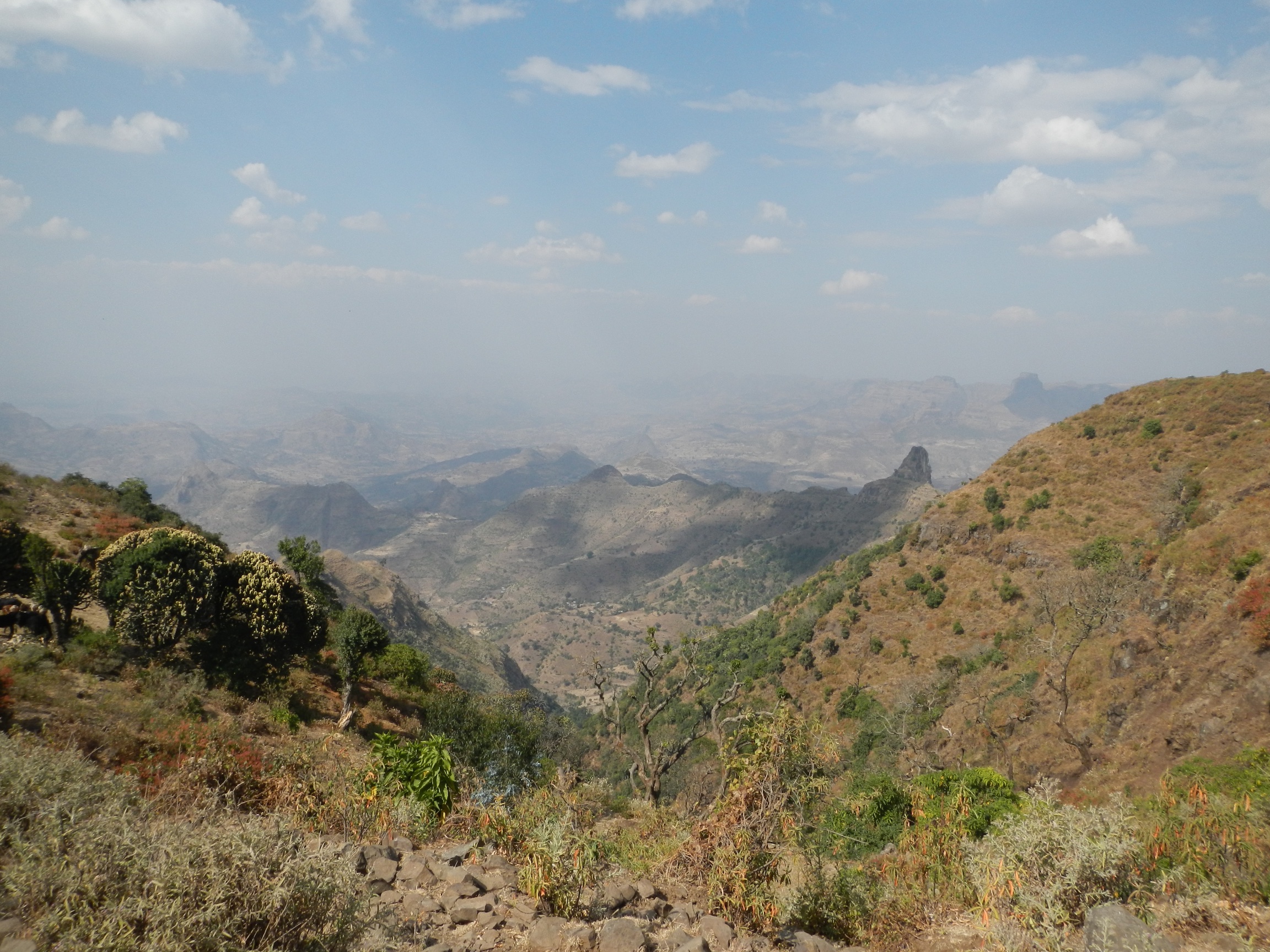  View on walk from Kosoye Befiker restaurant, near Gondar 