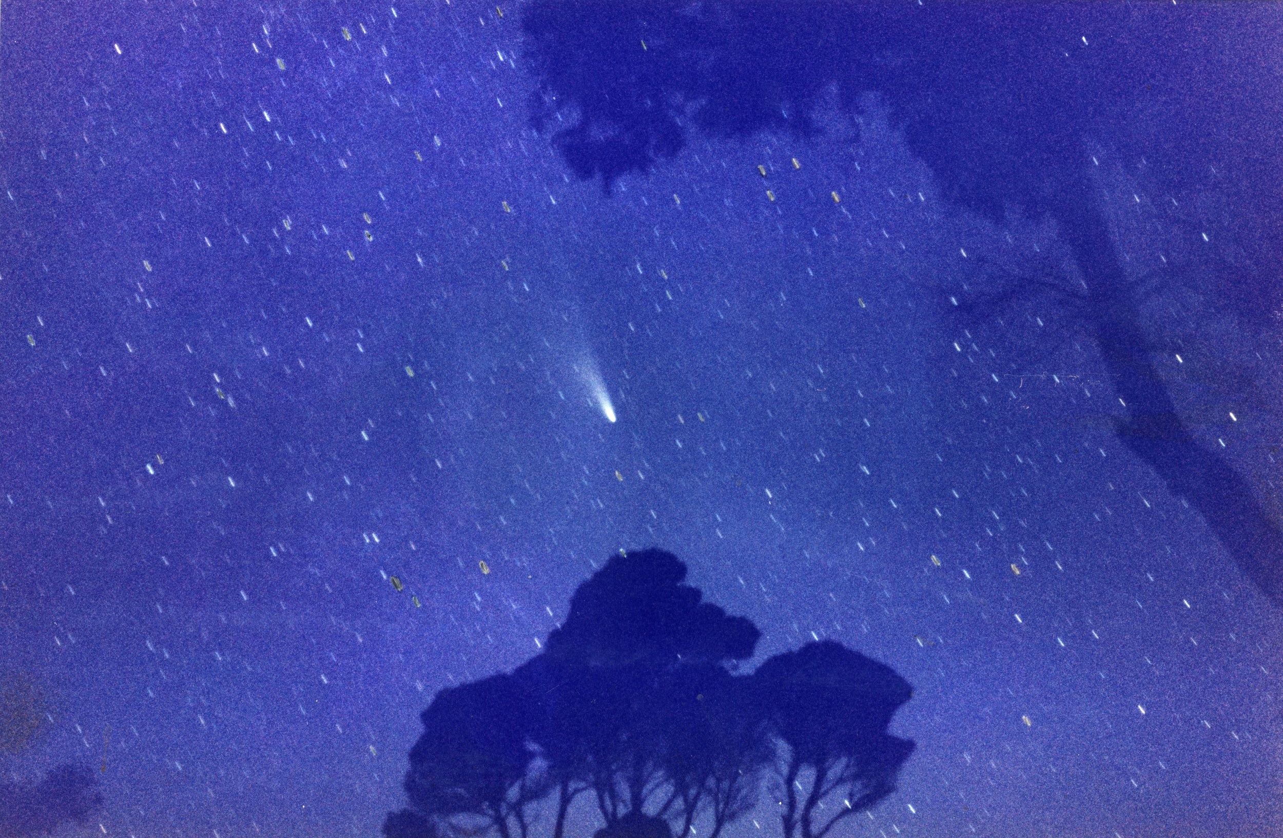 Halley's Comet, Anson's Bay, 1986