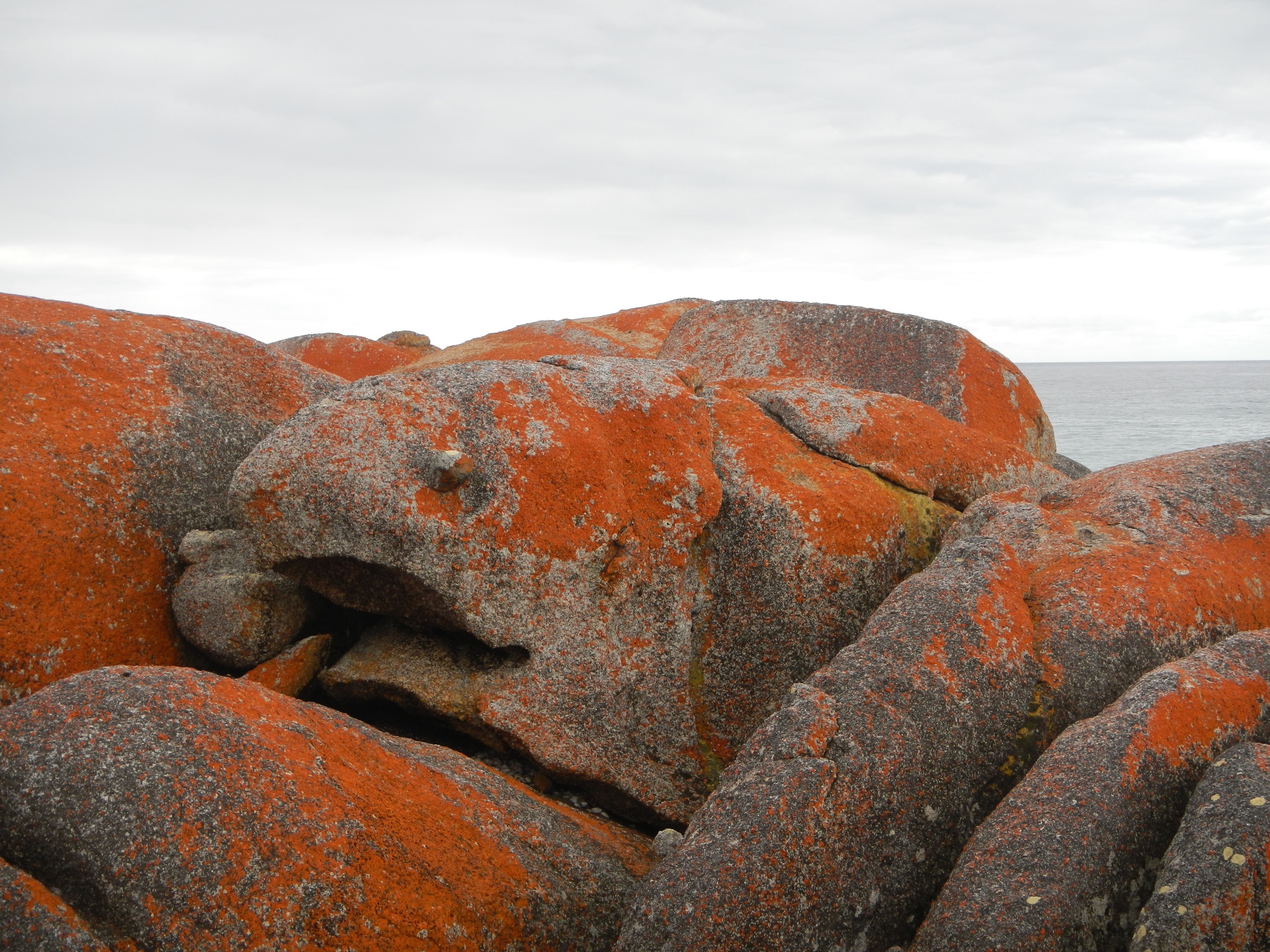 Fish rock, Bay of Fires