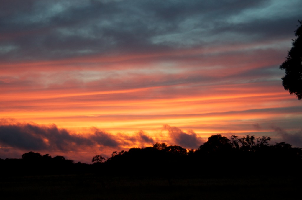 Sunrise, Pantanal, Brazil, 22 Apr 2012