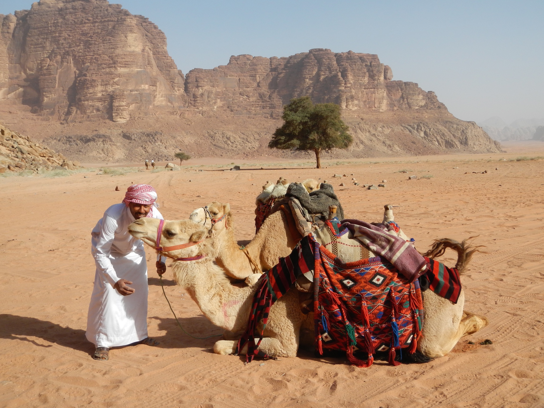  Camel driver with Corinne's camel, Wadi Rum 