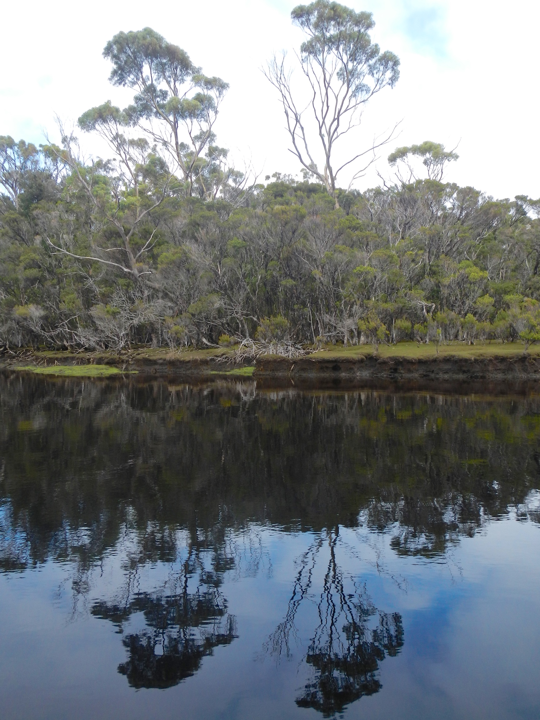  Reflections on Melaleuca Inlet 