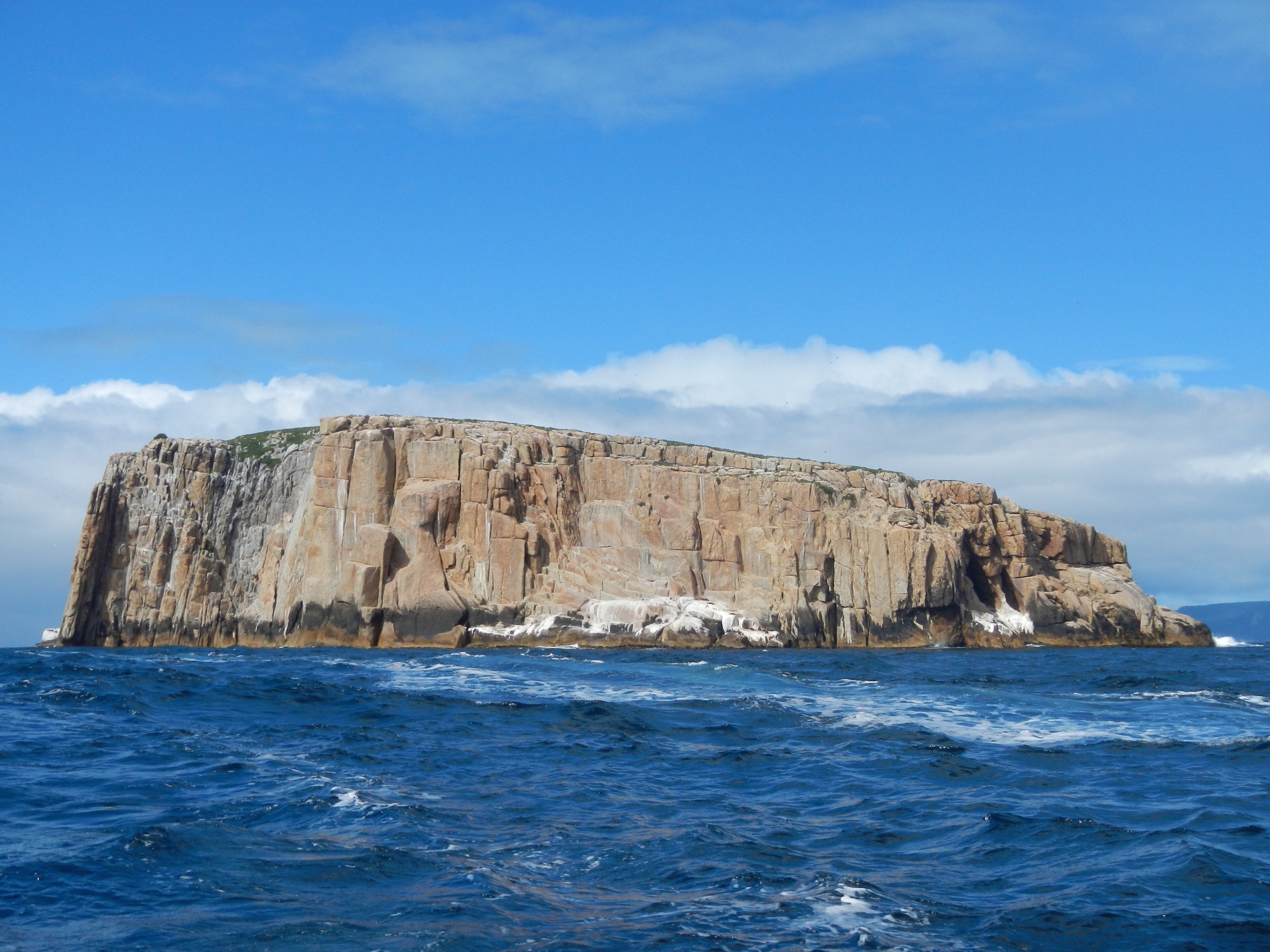  Hippolytes, off Tasman Peninsula 